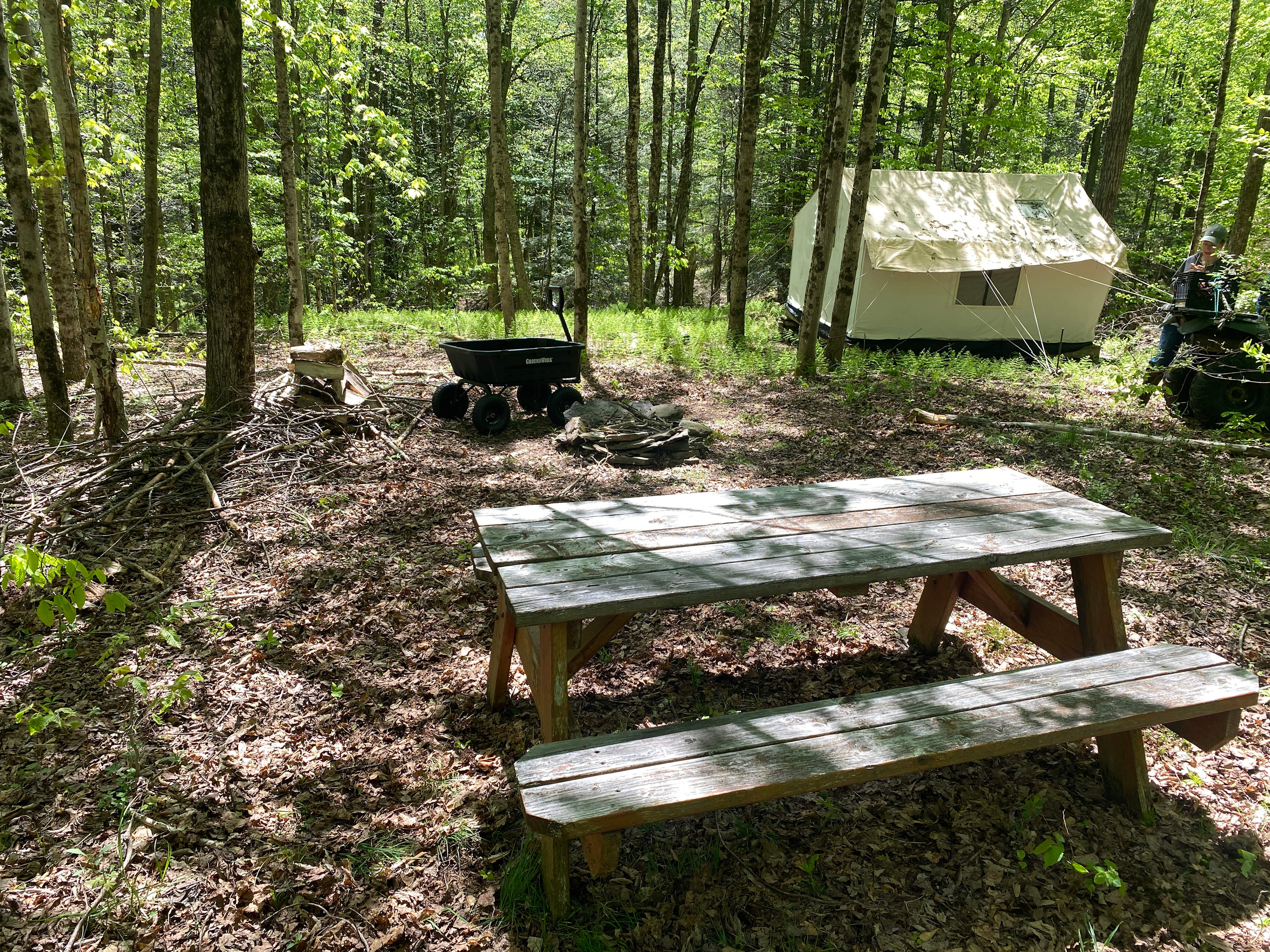 Site features a picnic table, fire pit, and is surrounded by lush wooded trails overlooking a waterfall creek.