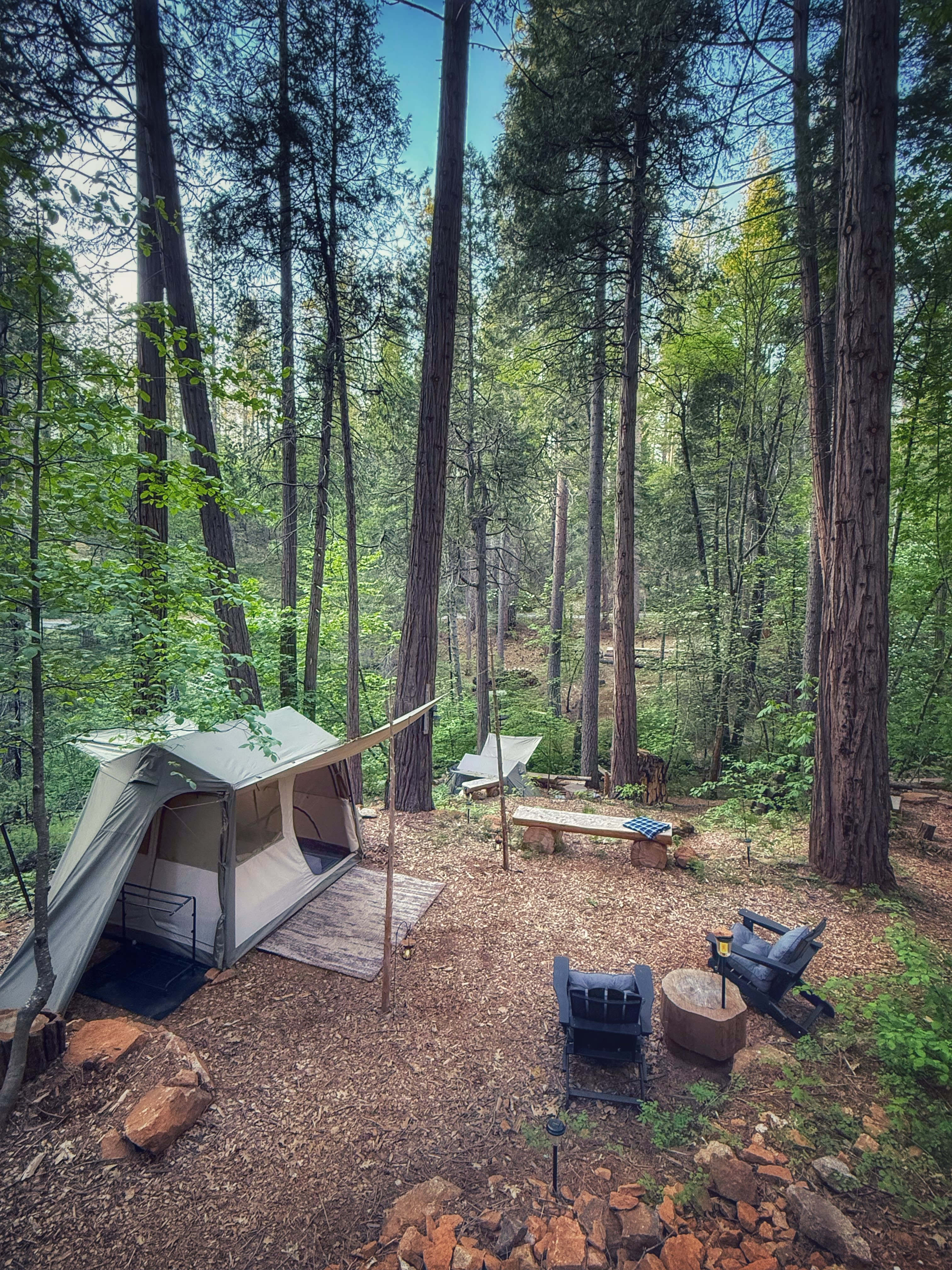 Creekside Camping on Love Creek