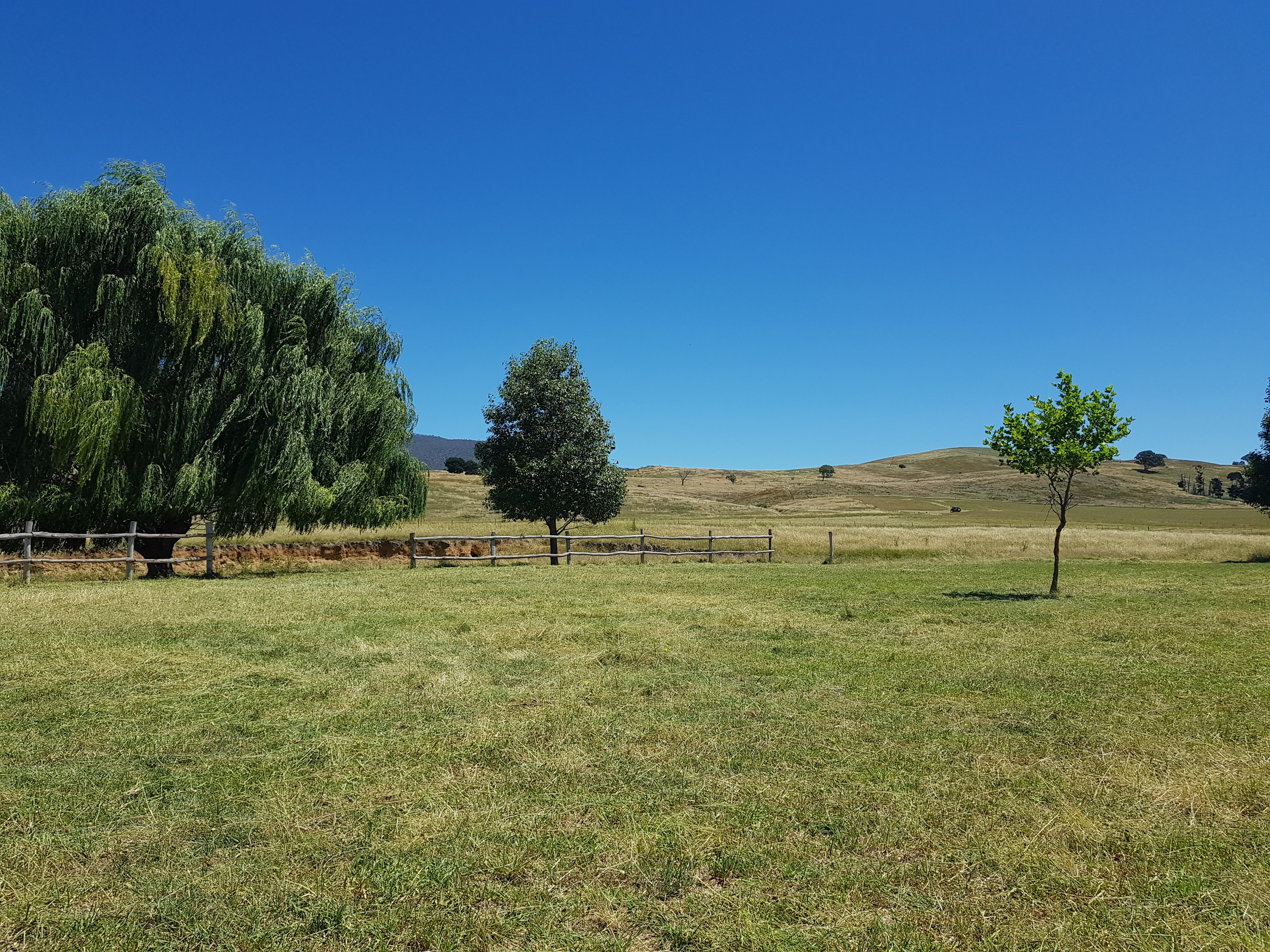 Swan Farm