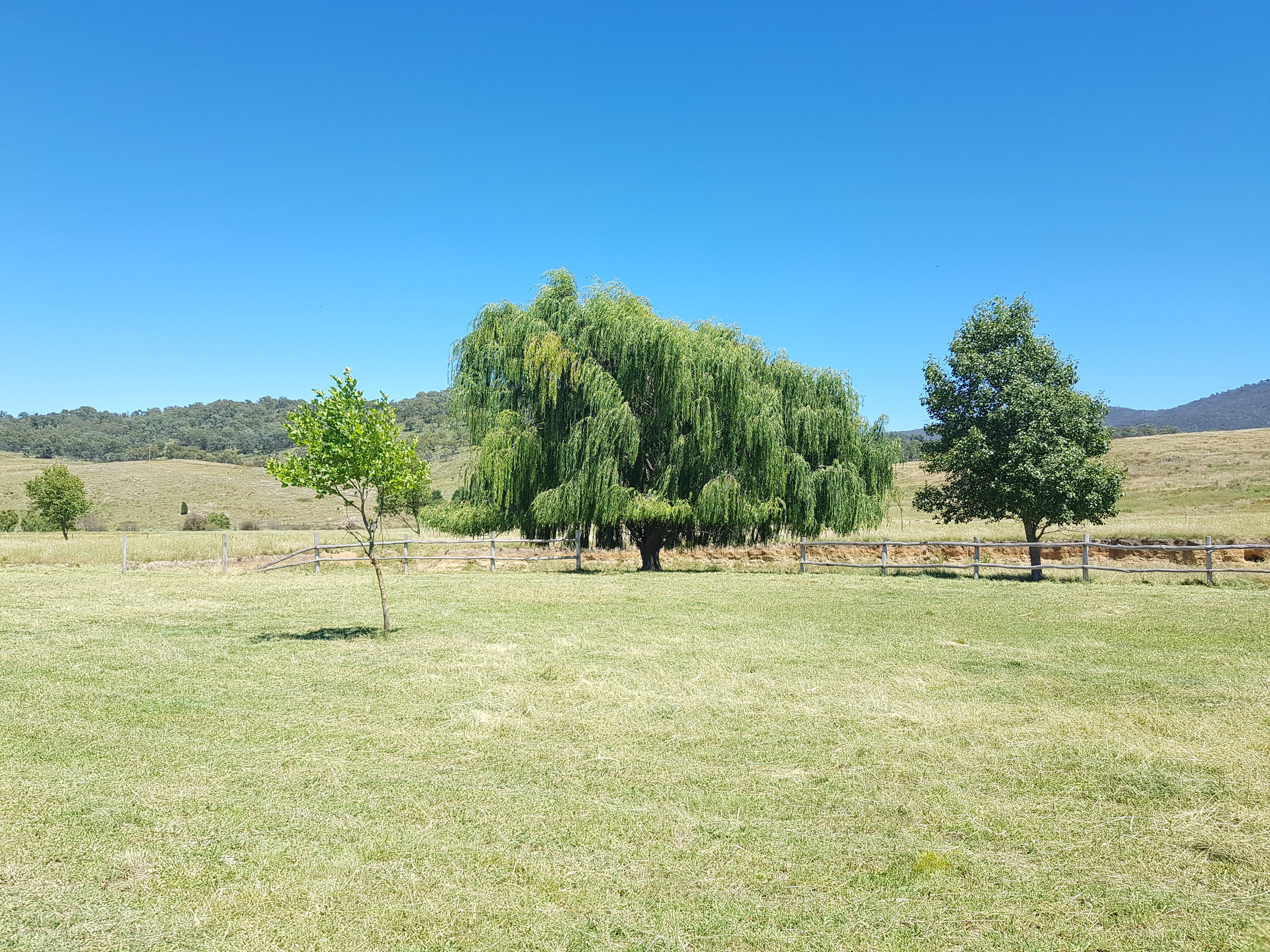 Swan Farm