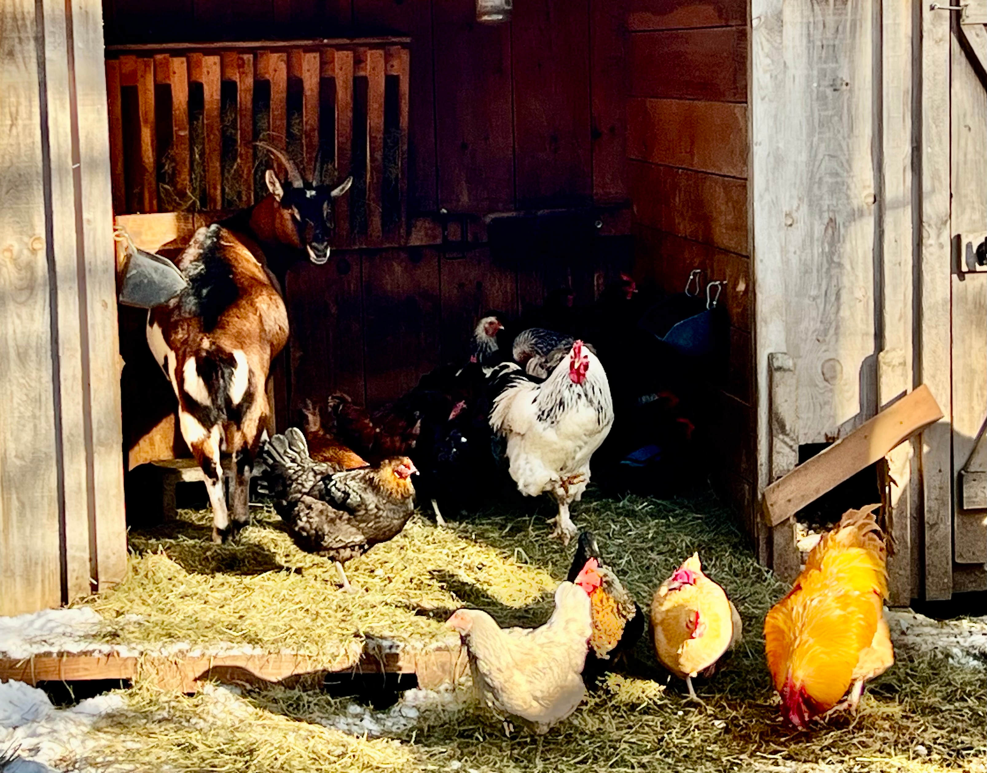 Green Mountain Farm & RV Camp