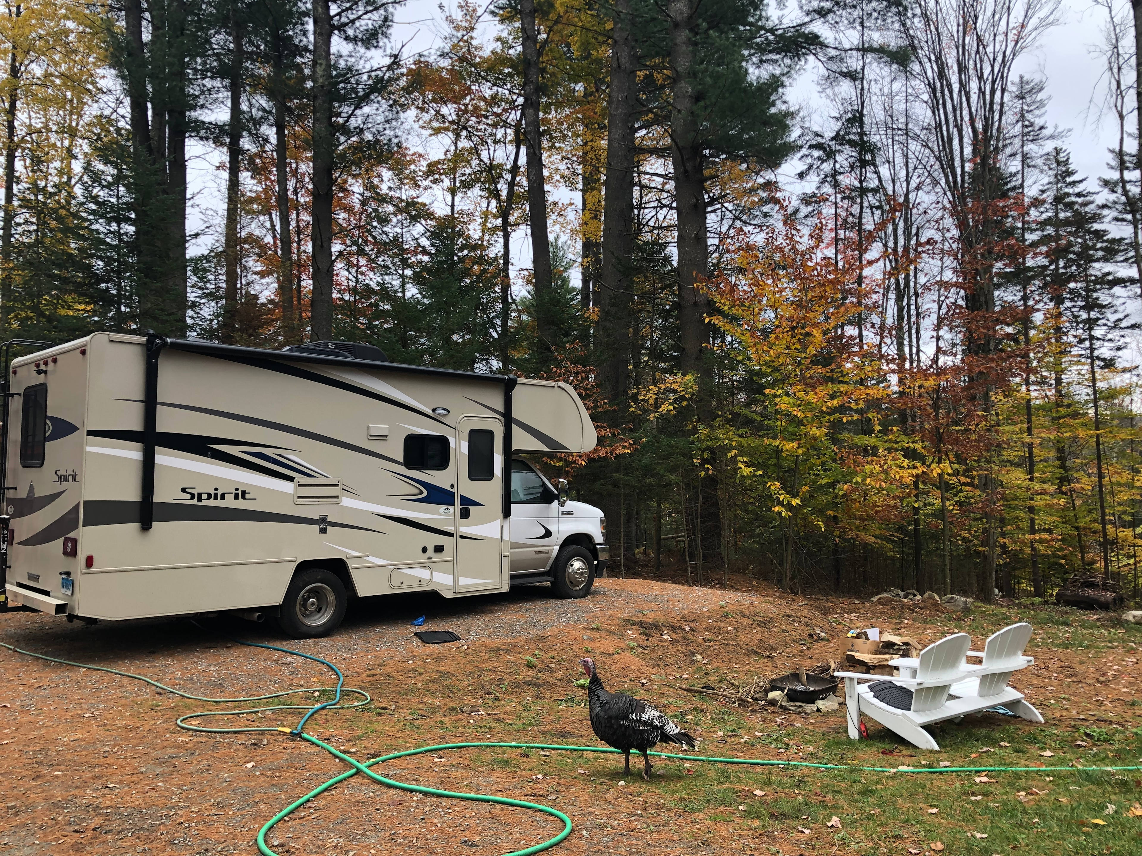 Green Mountain Farm & RV Camp