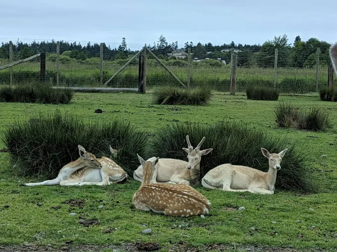 City of Auburn Game Farm Wilderness