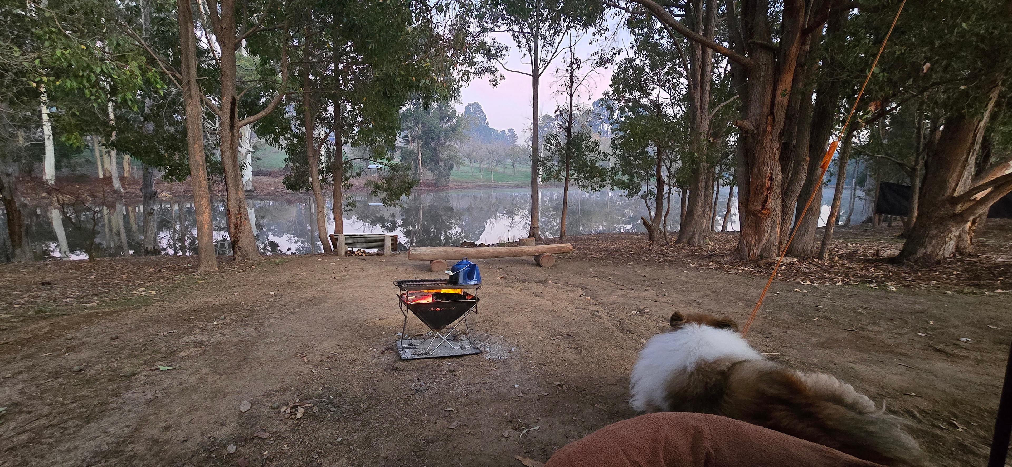 La Fiumara Olive Farm