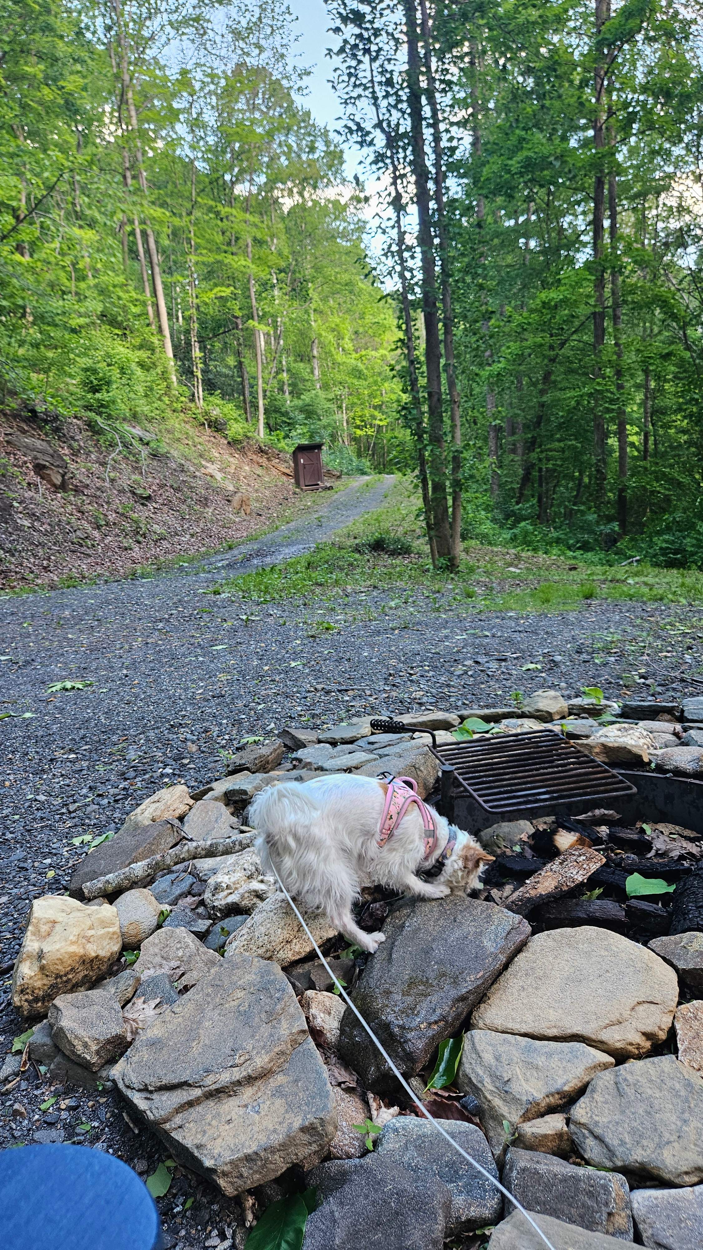 A Tiny A-Frame 15 acres creek front