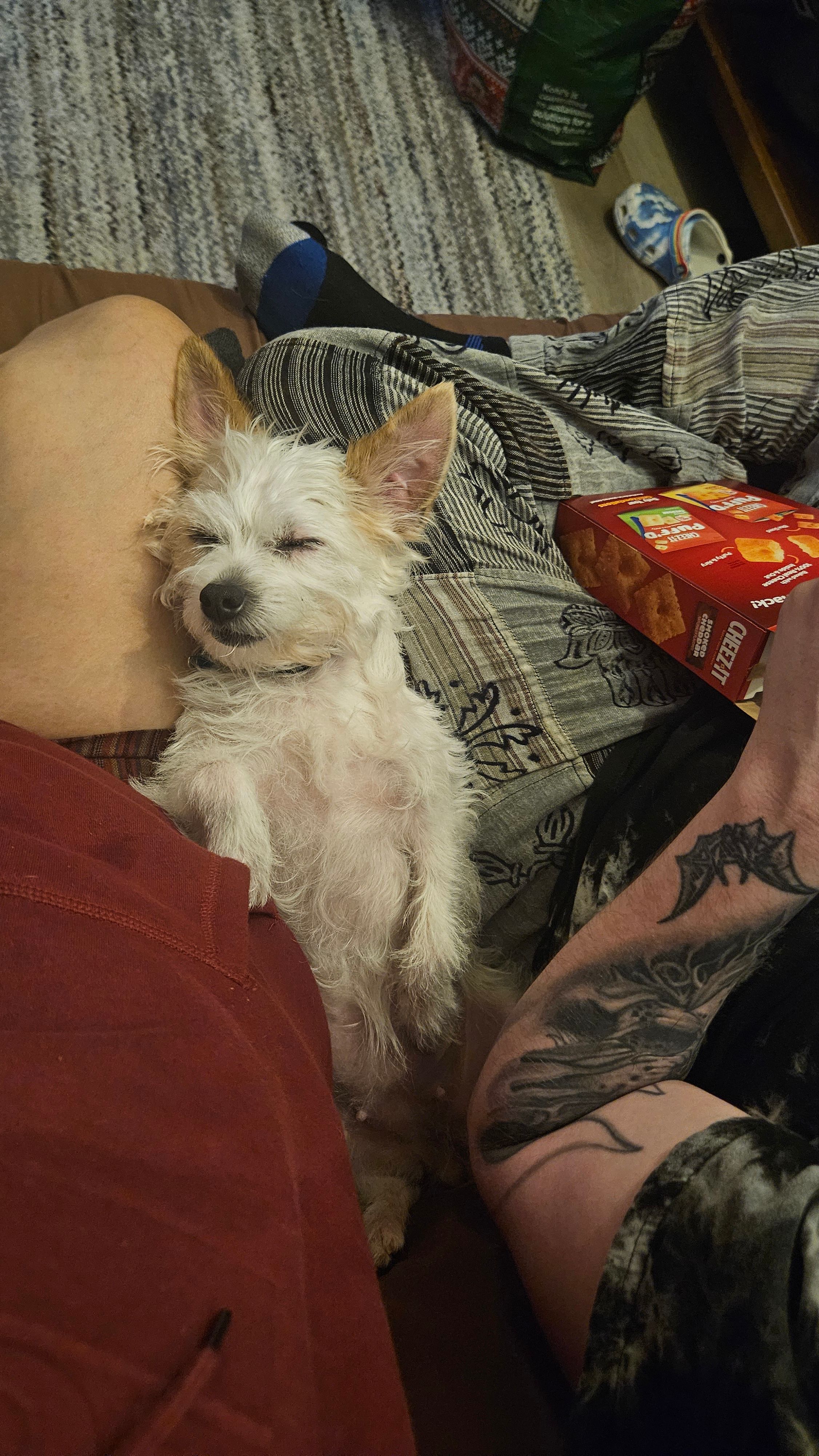 A Tiny A-Frame 15 acres creek front