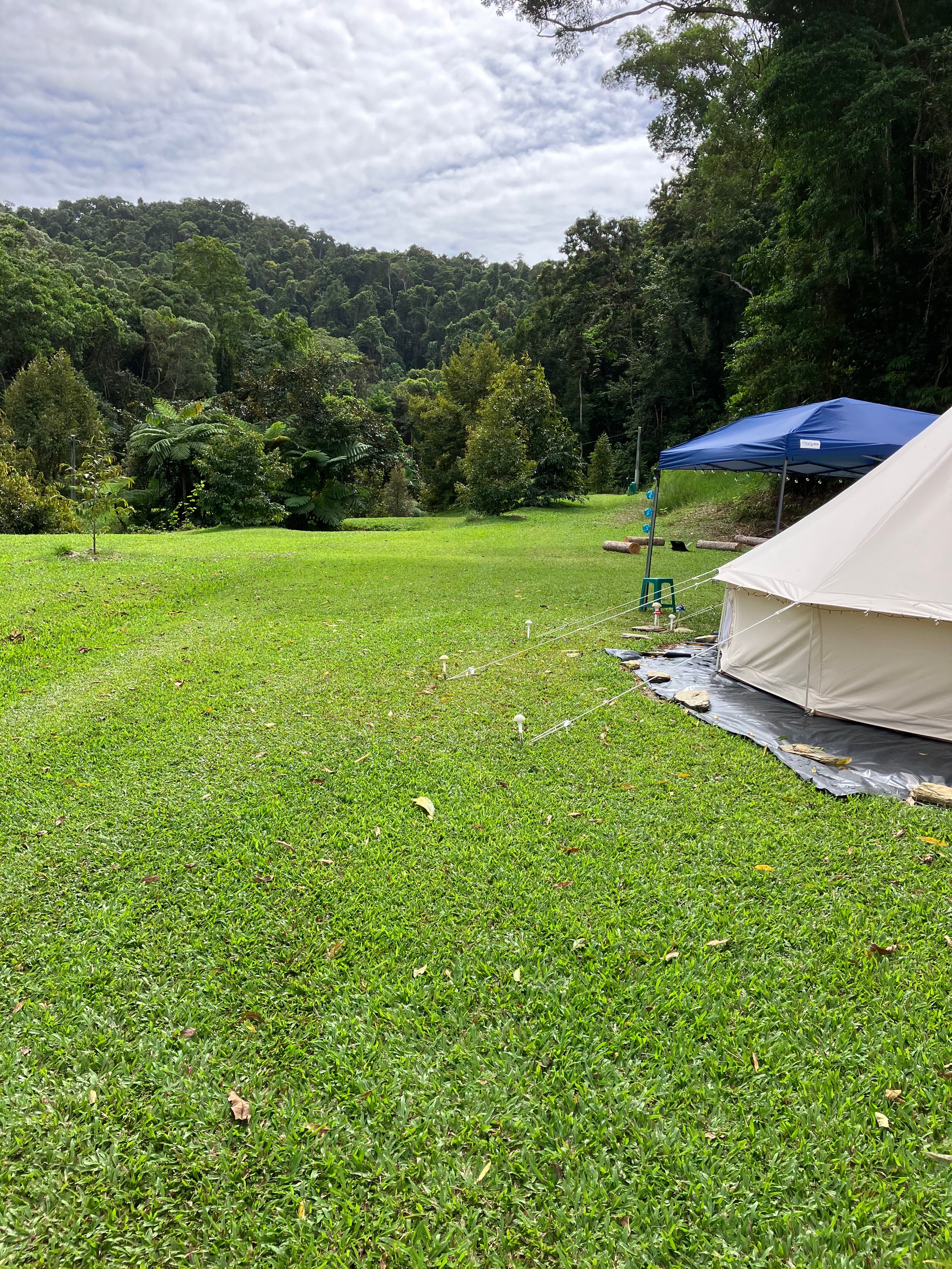 Daintree Exotics Camping