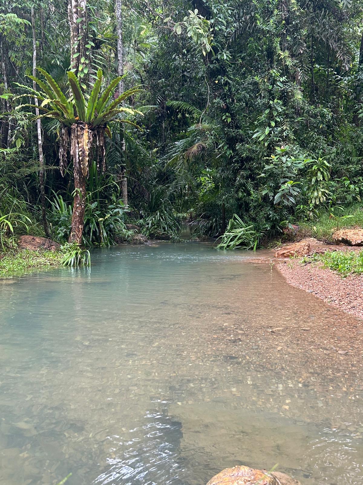 Daintree Exotics Camping