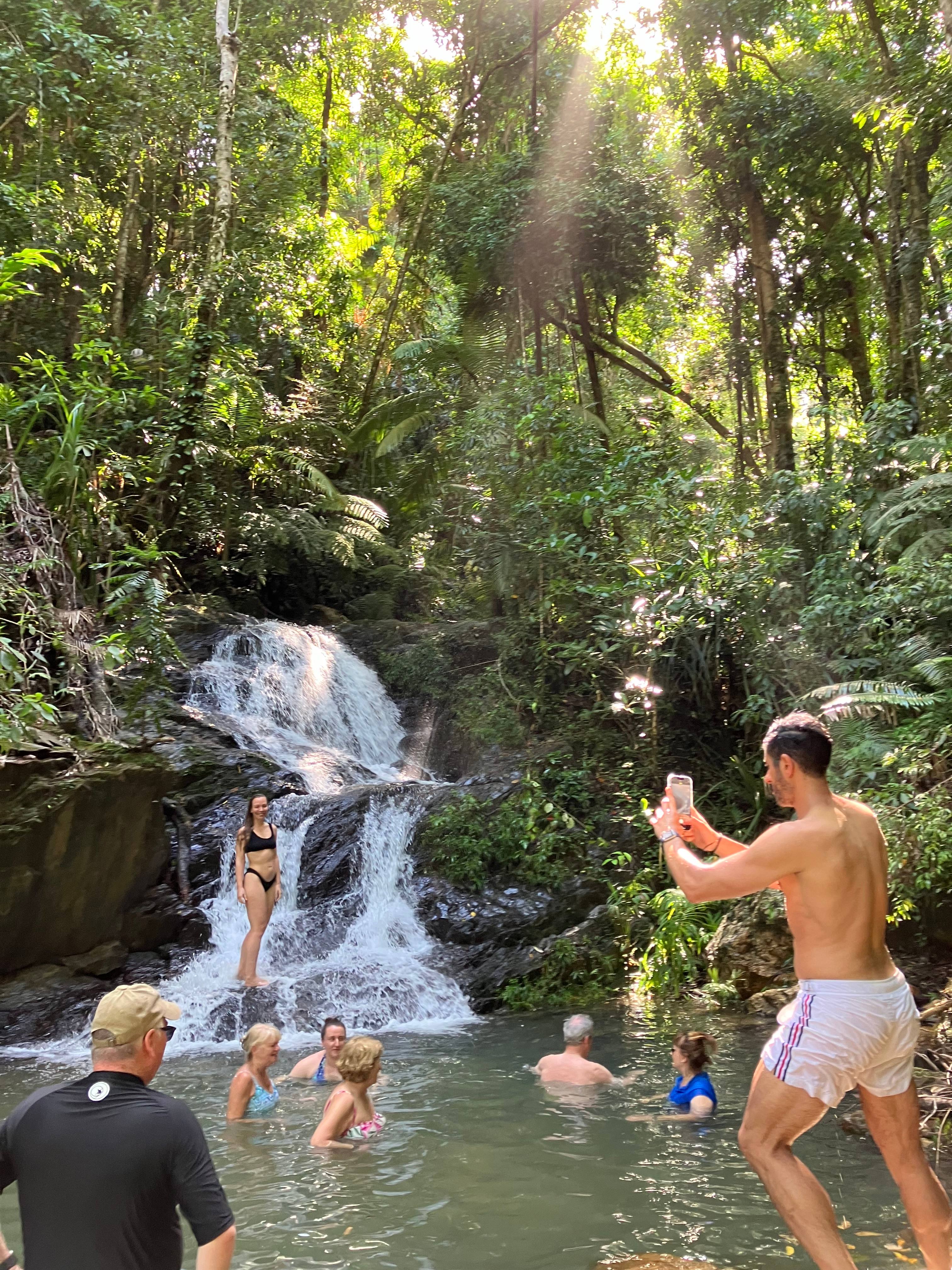Daintree Exotics Camping