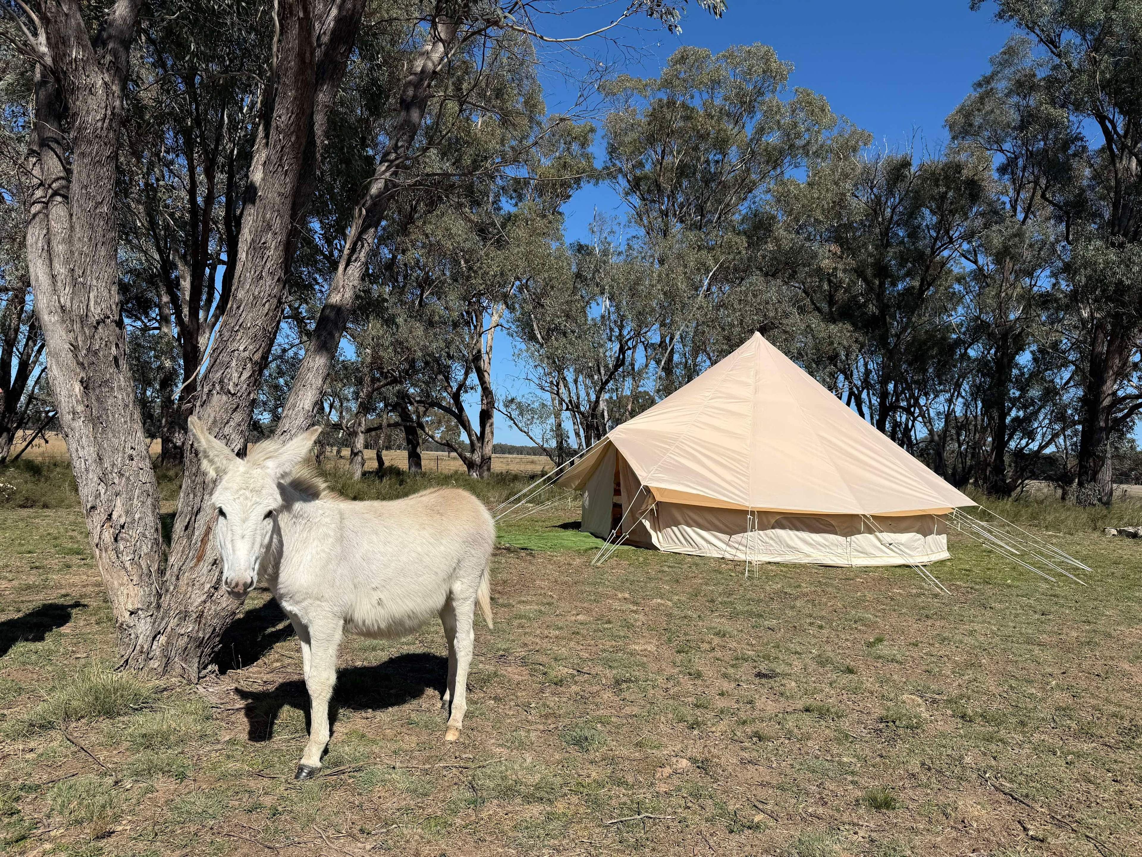 Lisadan Cottage and Homestead