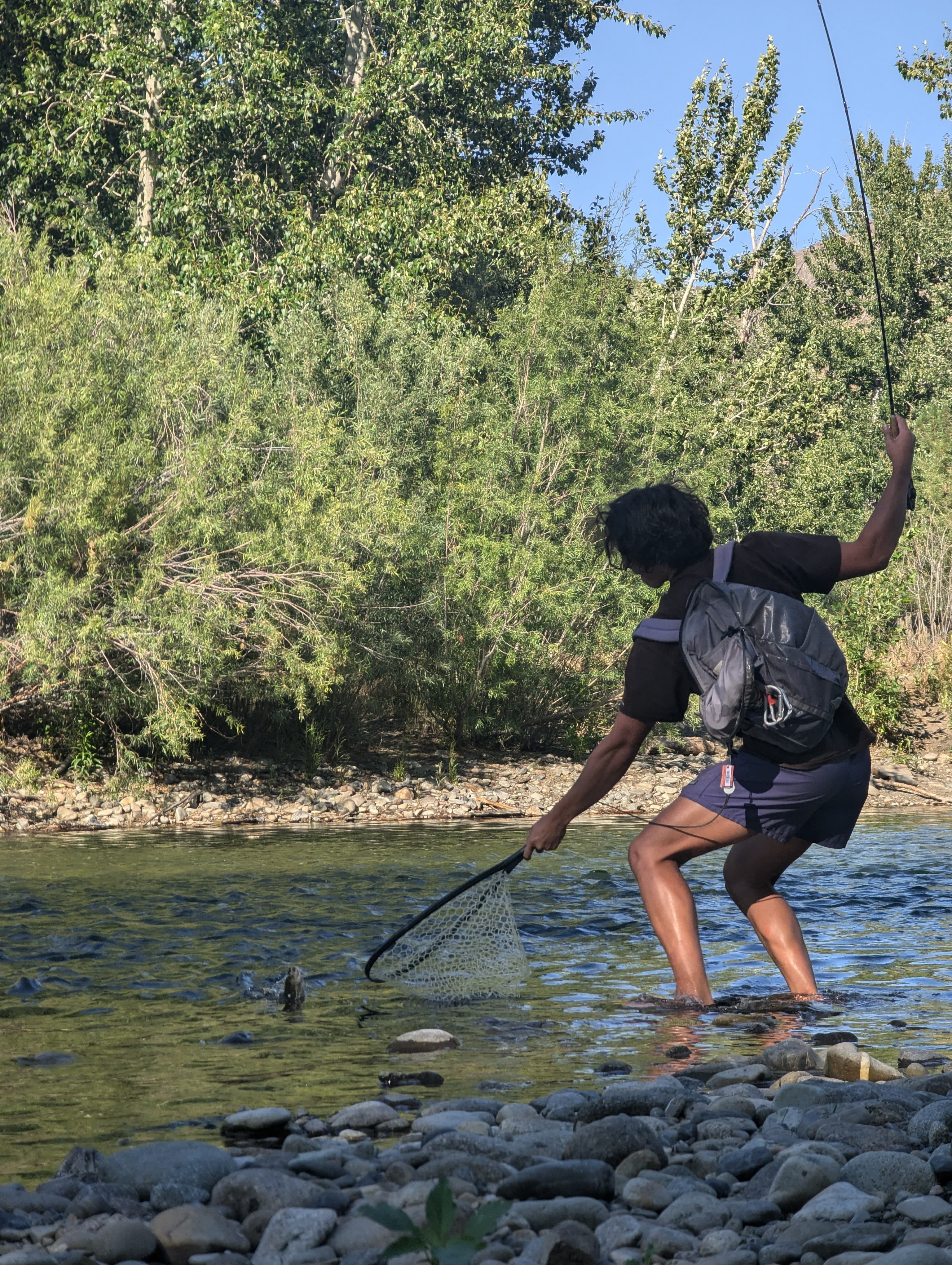 Drinkers Of The Wind Farm