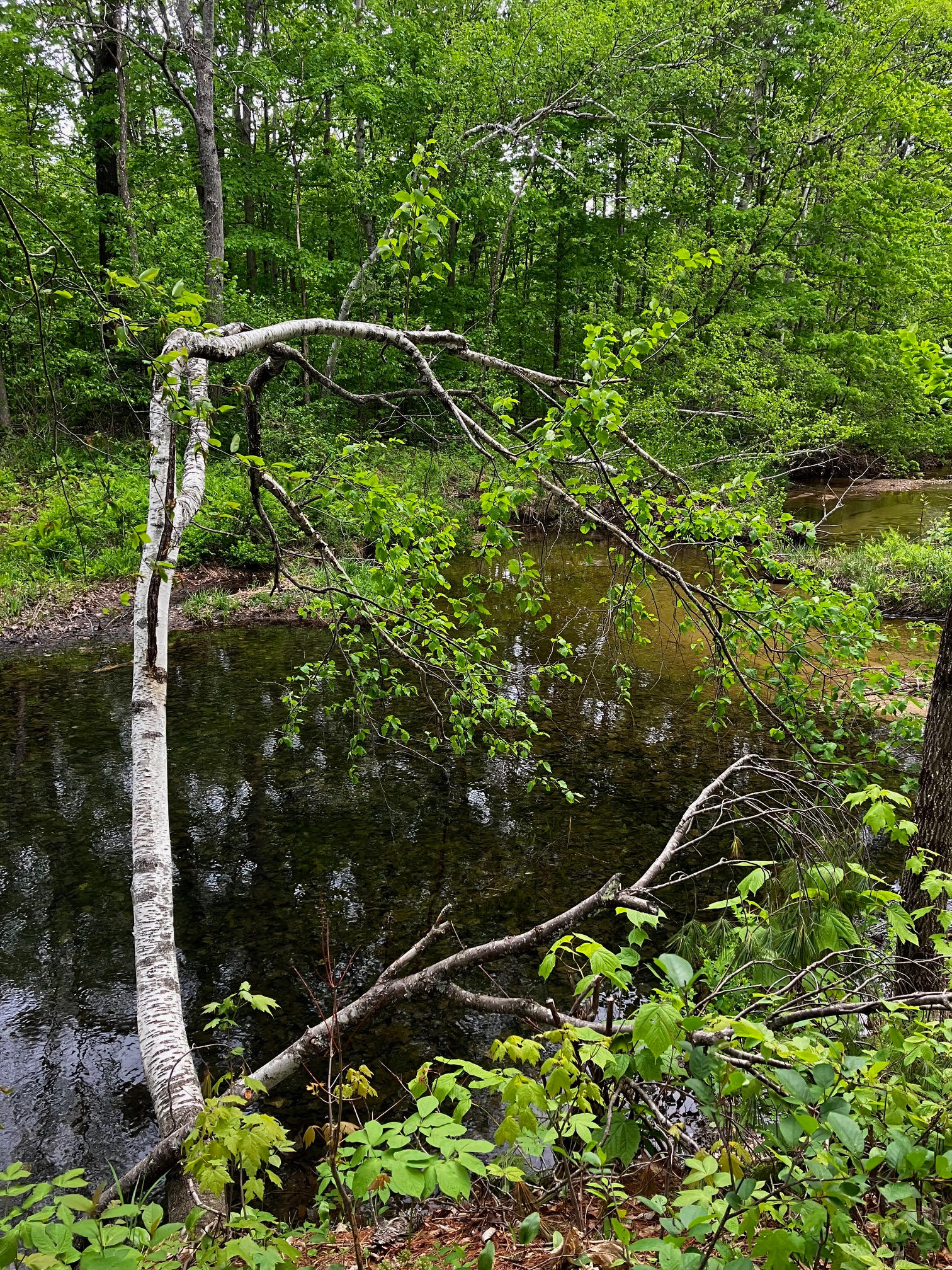 Private Waterfront Quiet Oasis