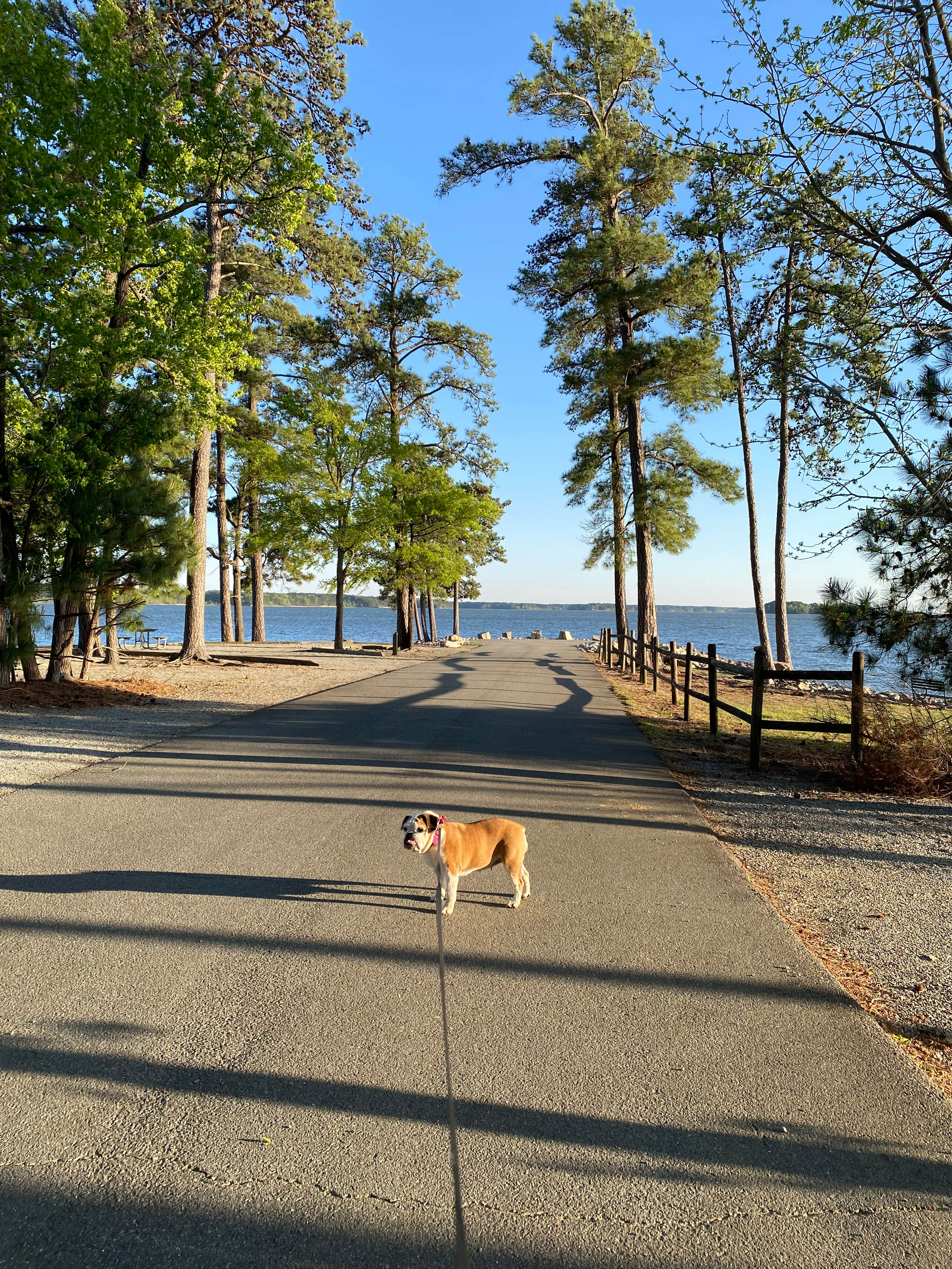 Cedarville State Forest