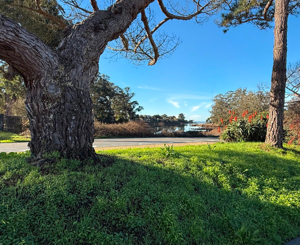 Beach RV Pleasure Point