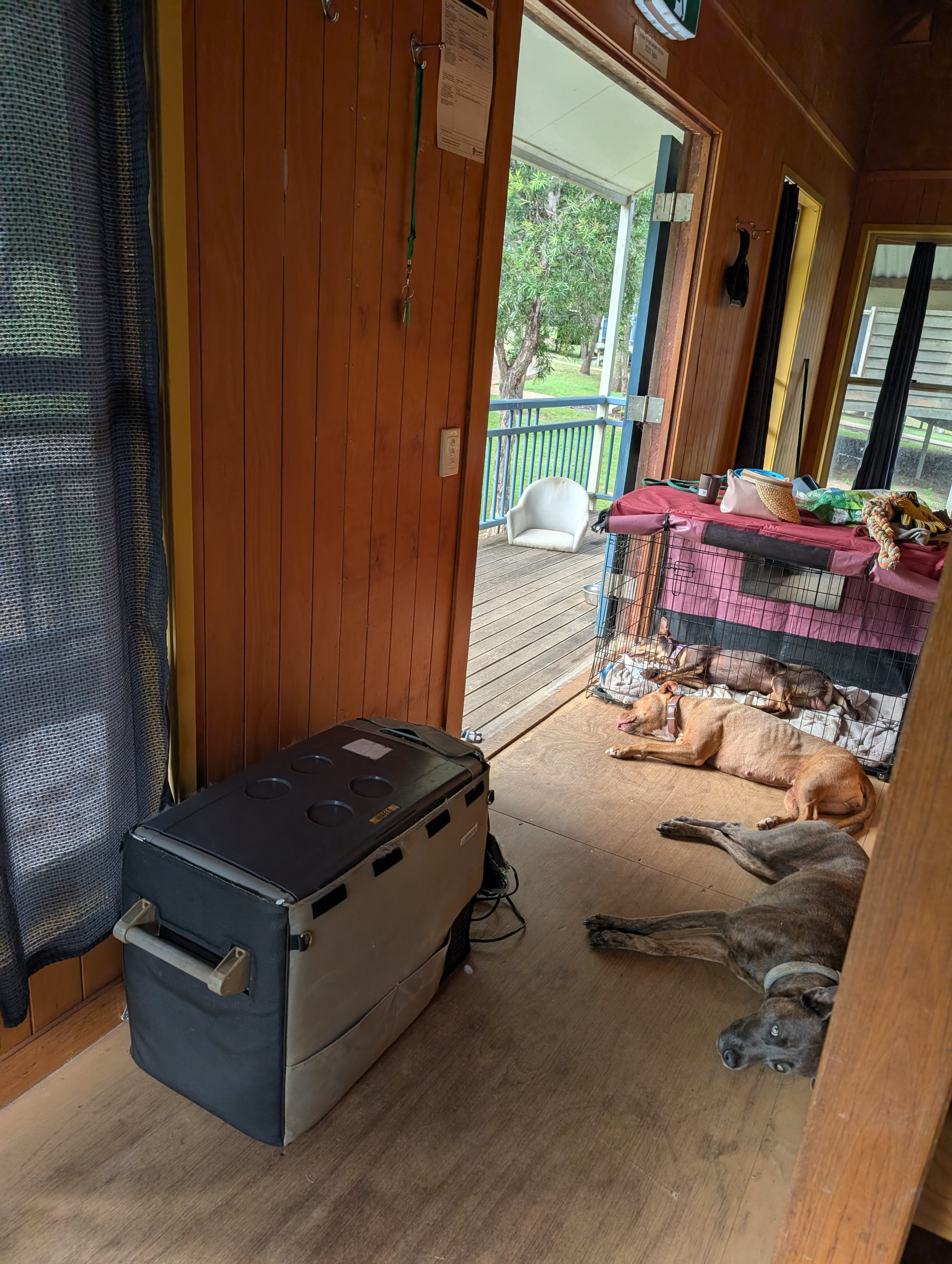 Comfortable dogs, amazing having the bunk house to ourselves!