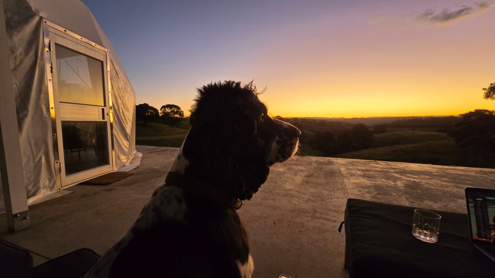 The Meadow -Byron Hinterlands Domes