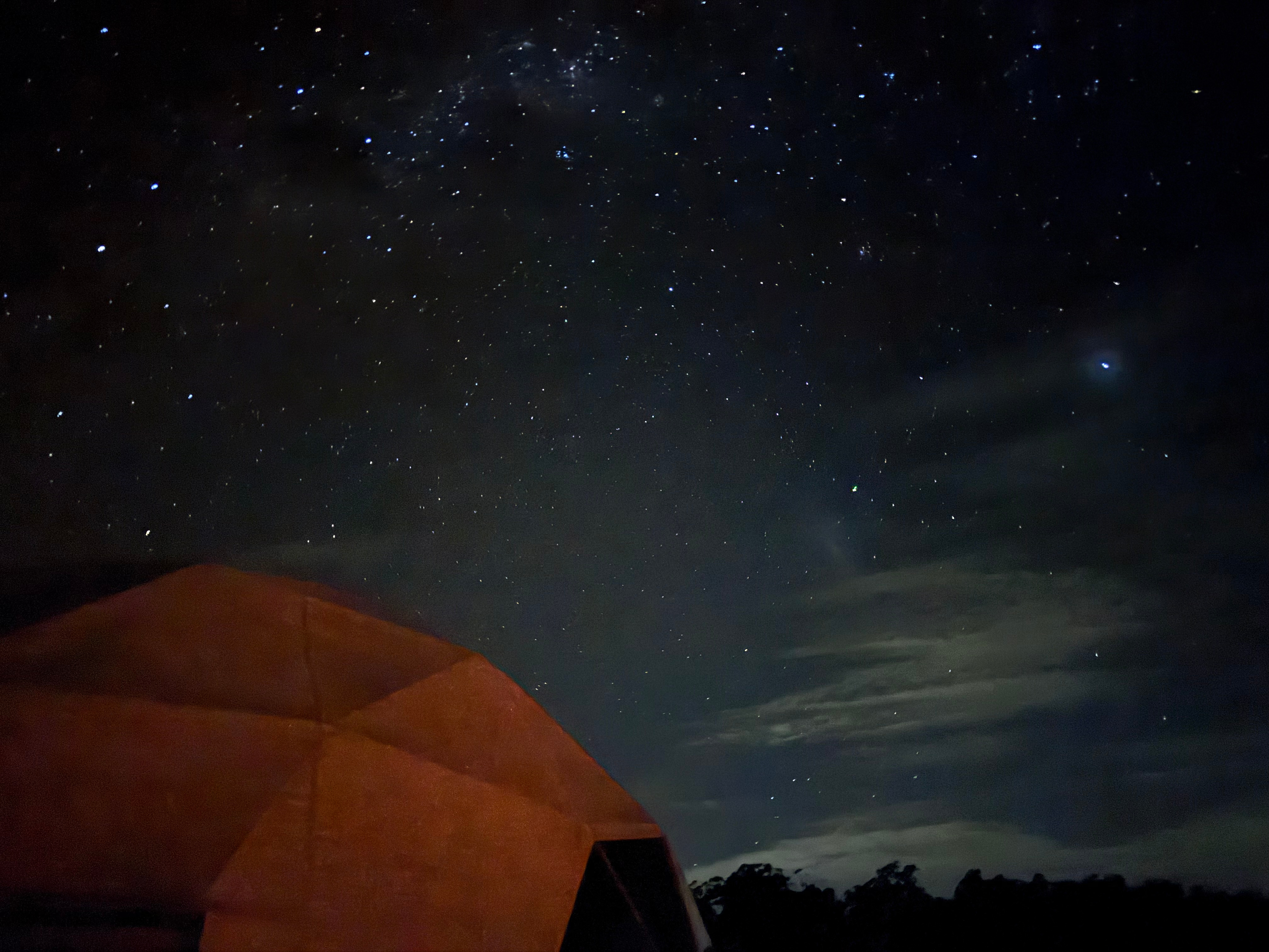 The Meadow -Byron Hinterlands Domes