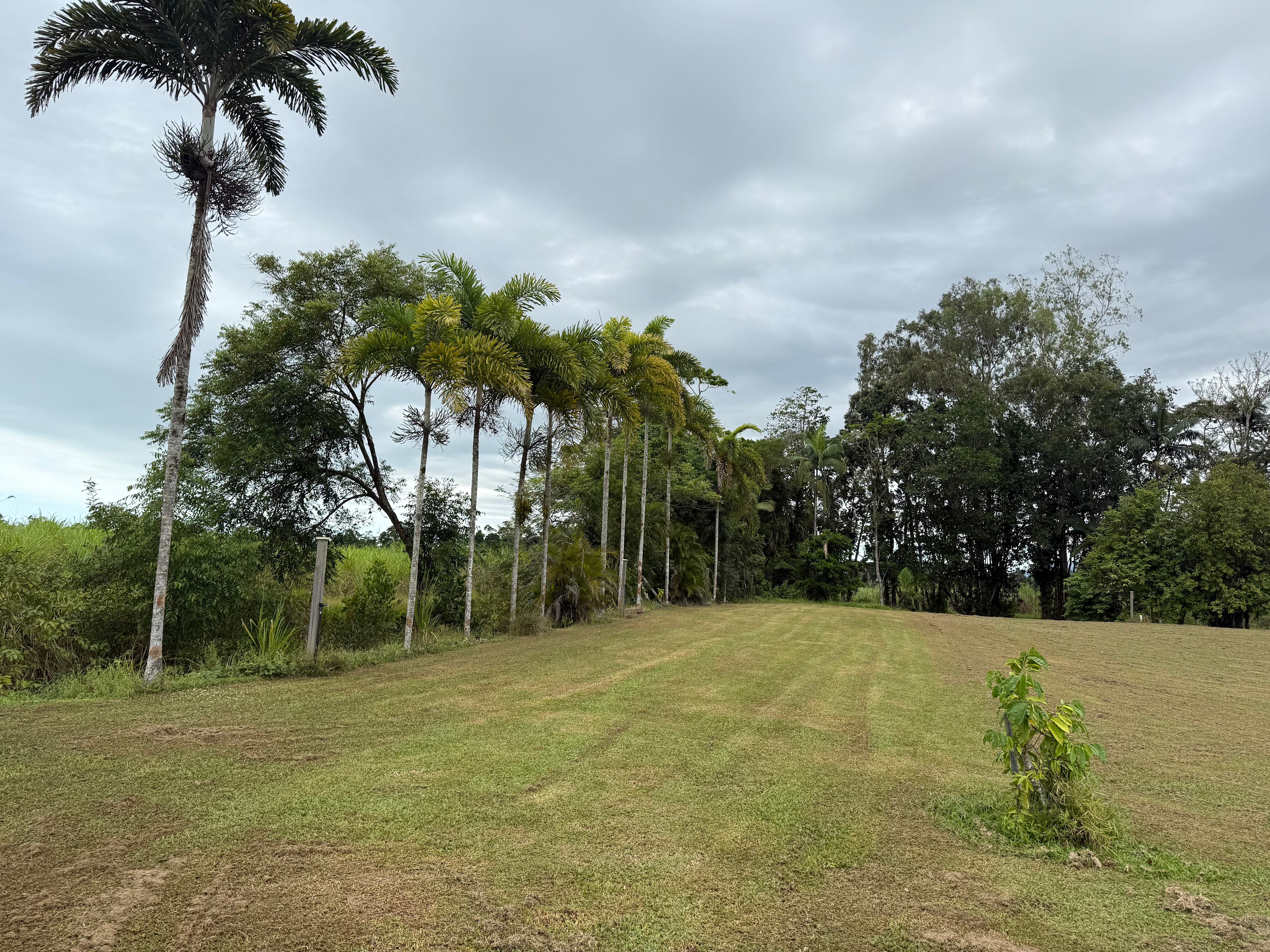 Campsite