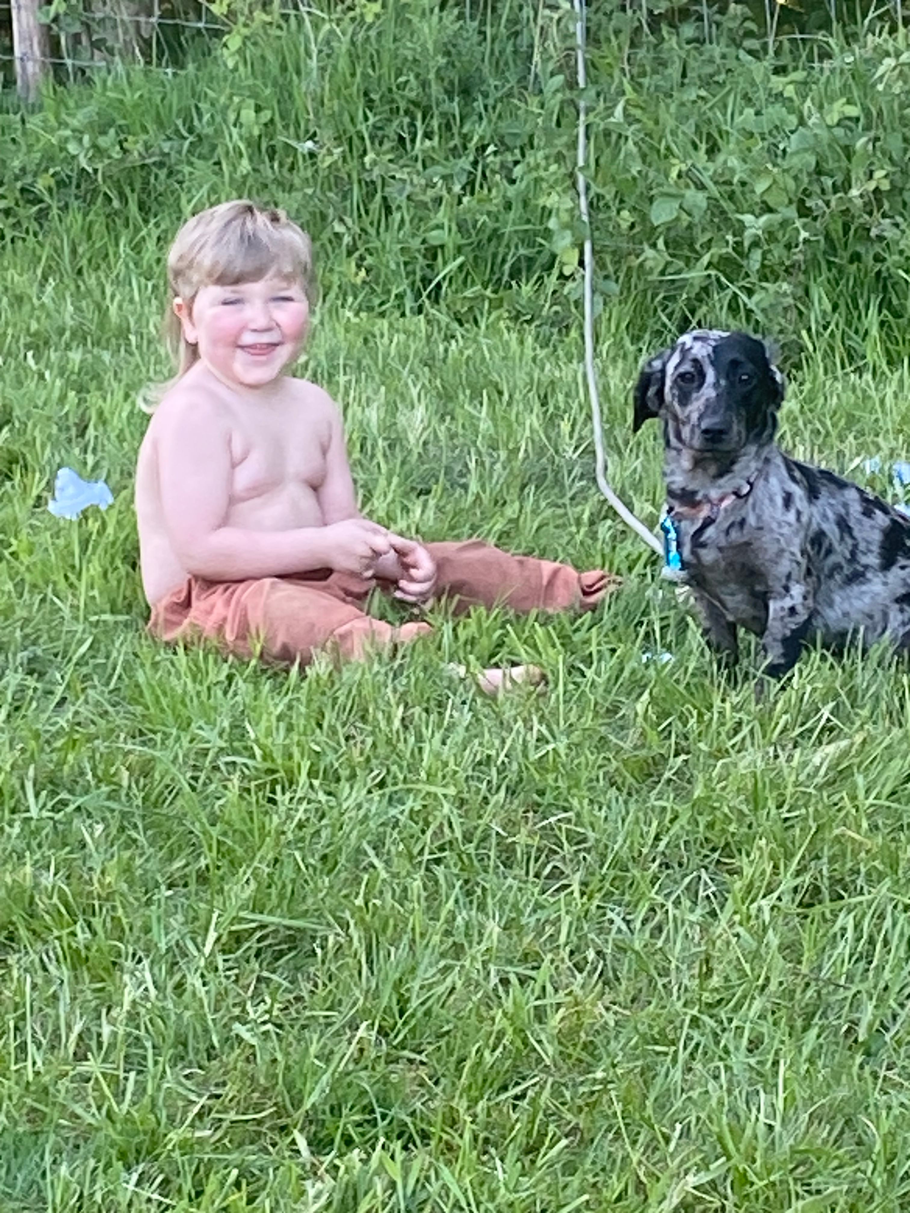 Doggy friendly and child friendly!