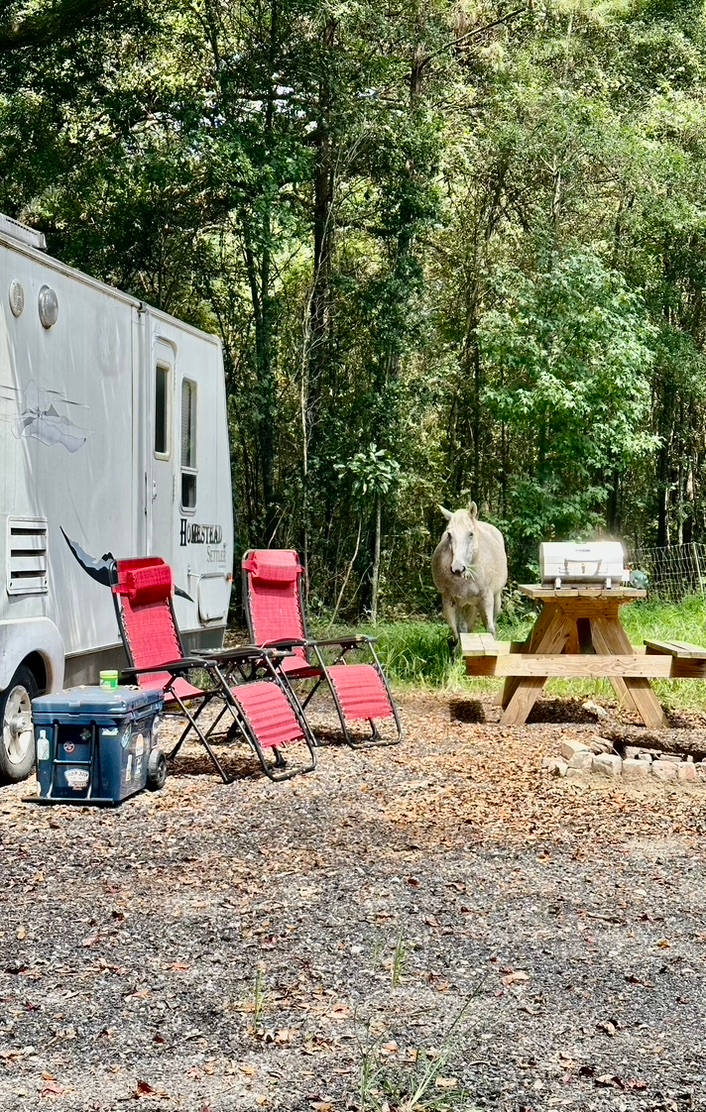 Whippoorwill Farms SC