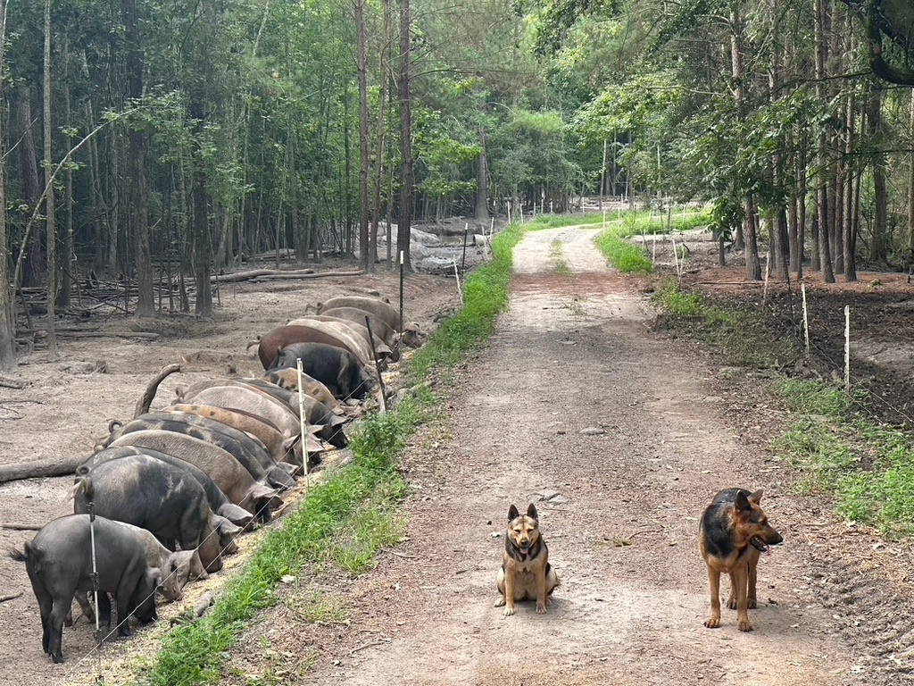Whippoorwill Farms SC