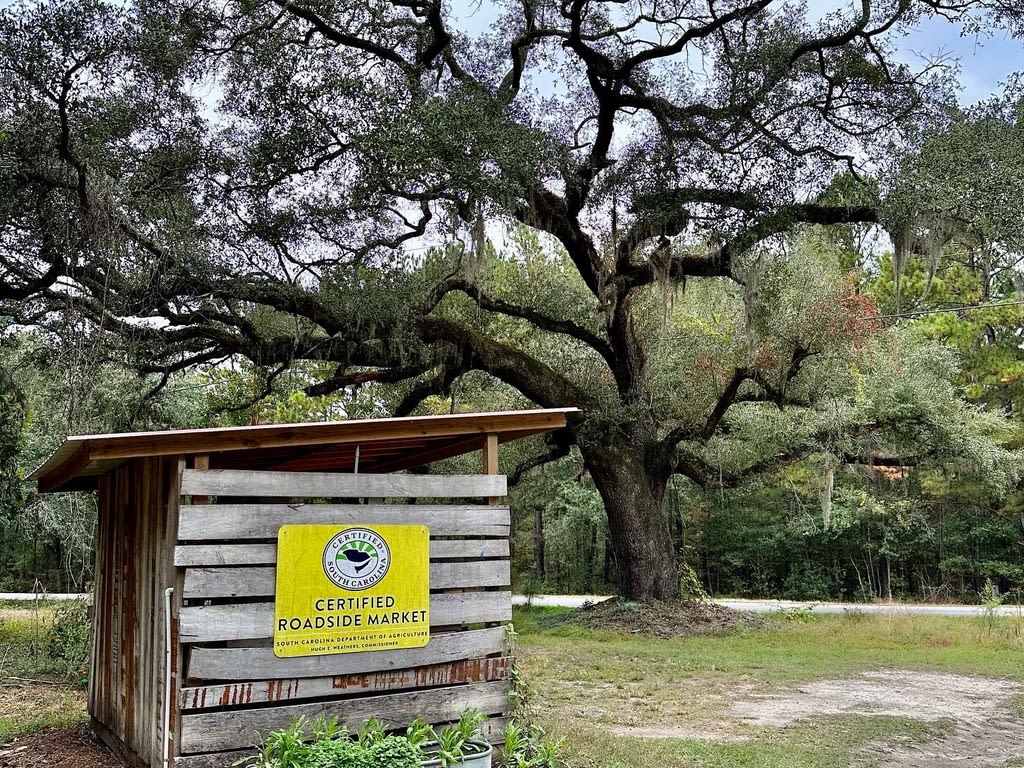 Whippoorwill Farms SC