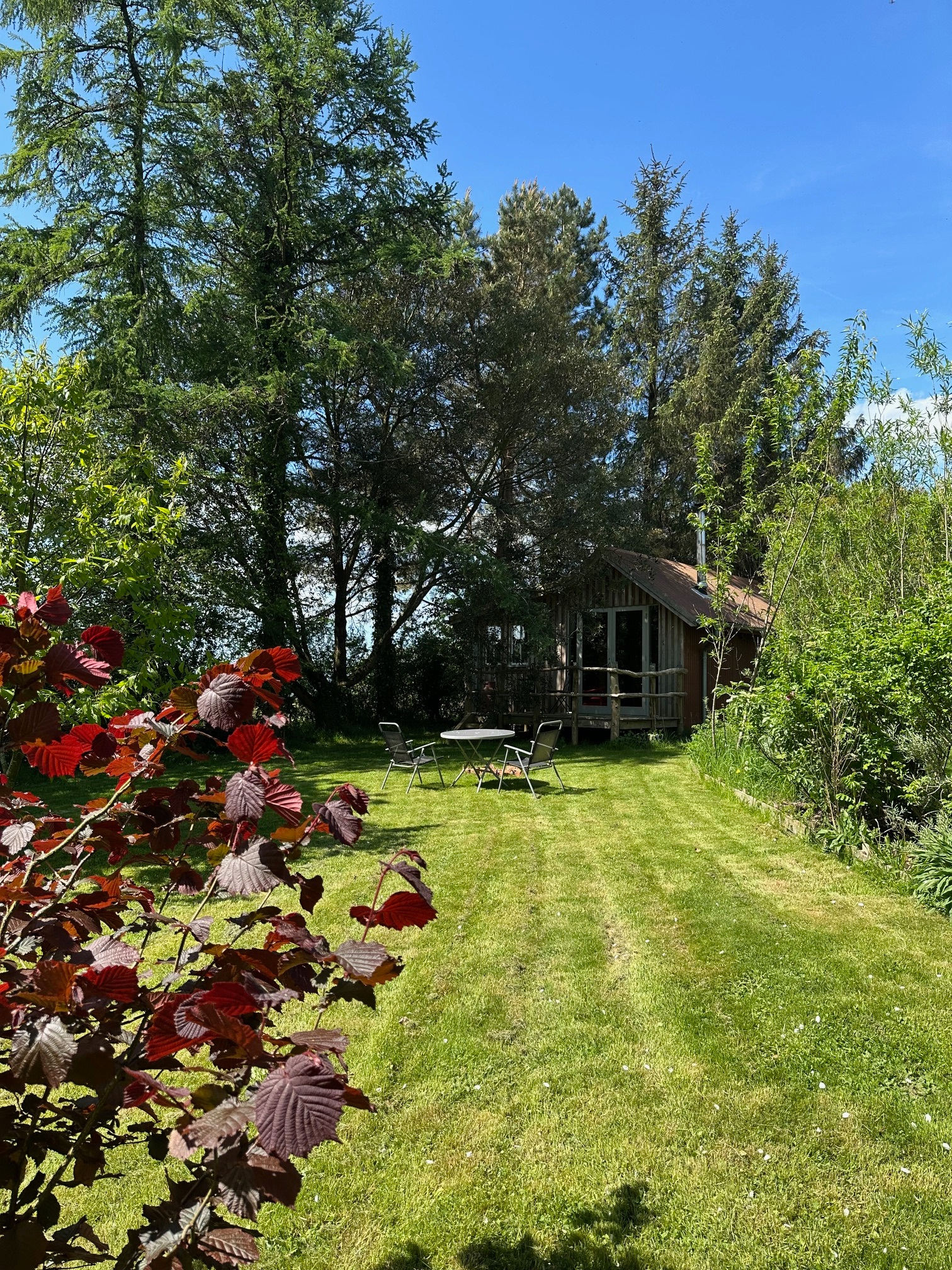 Little Sanctuary Cabins
