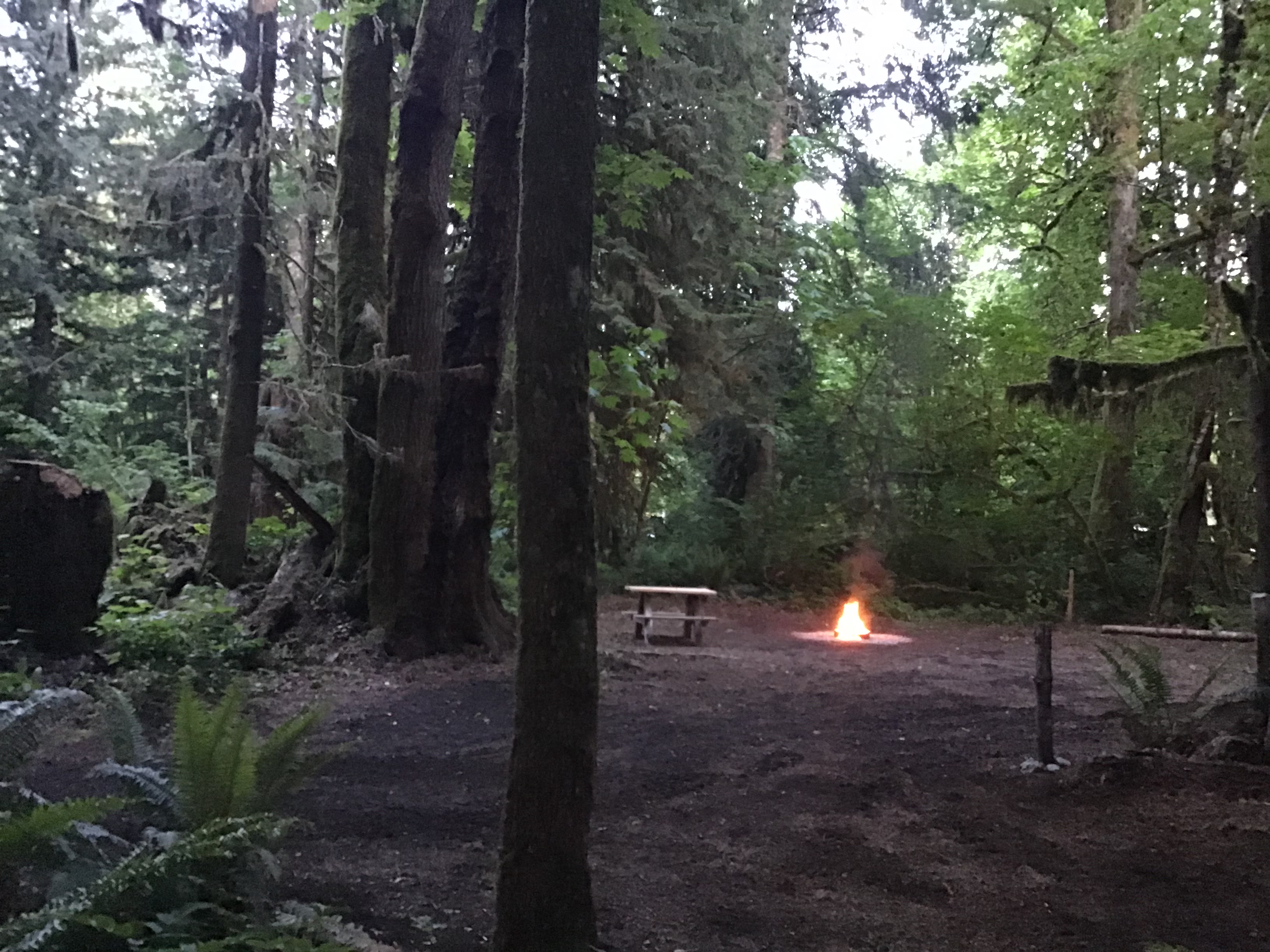 Camp site 4 is one of our larger spots for bigger vehicles.
