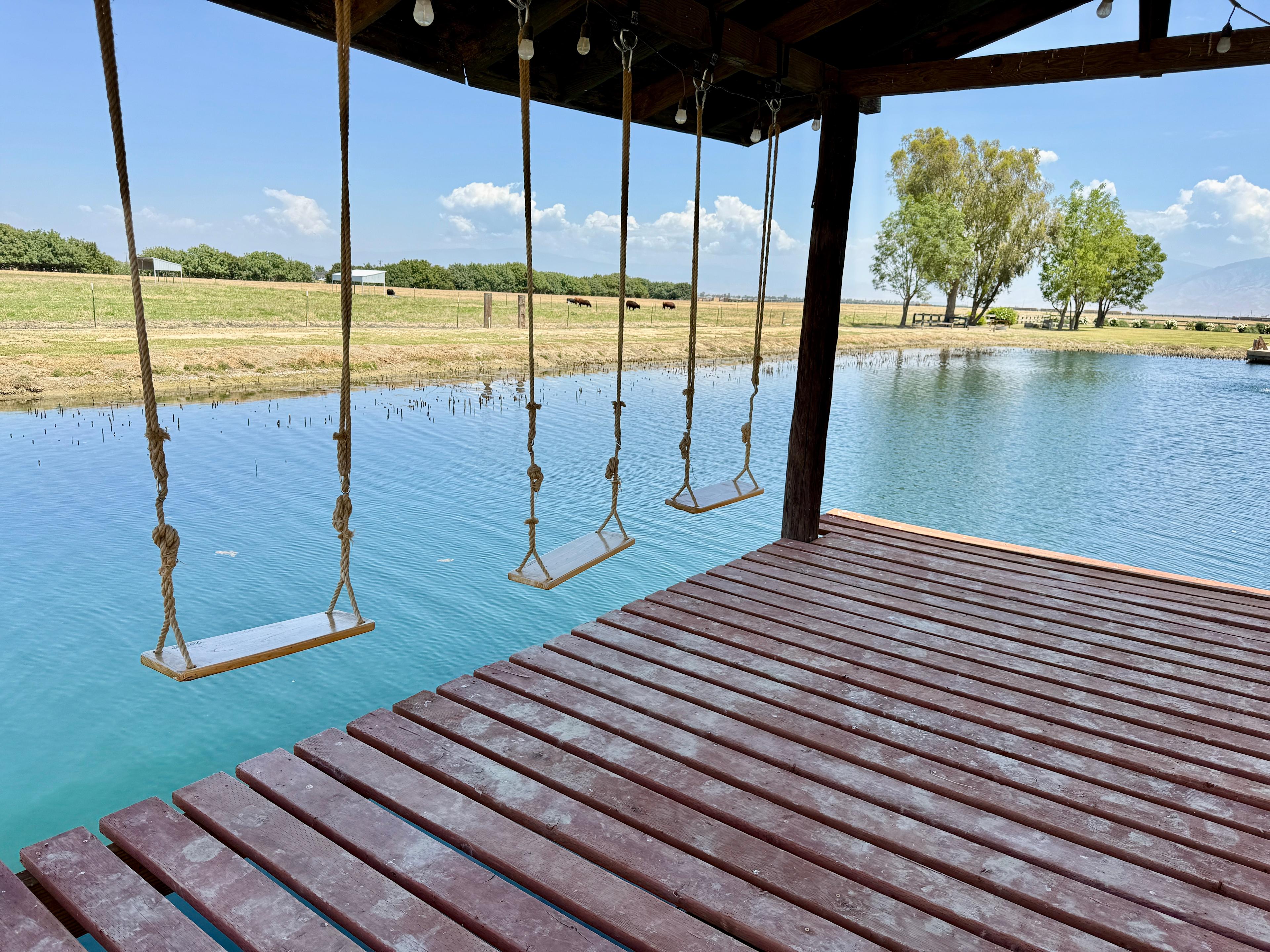 Bakersfield Farm Animals & Pond
