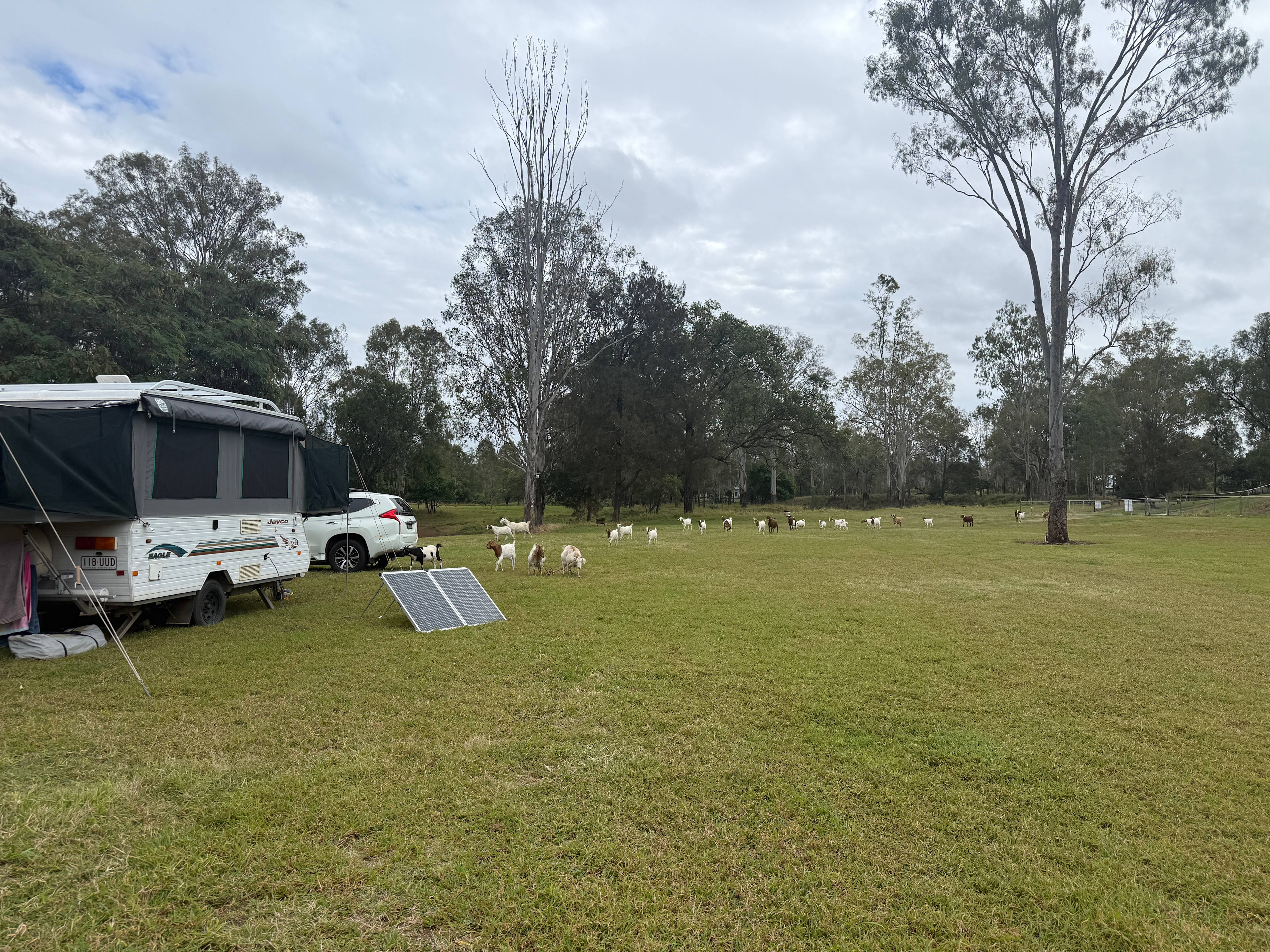 Rocky Creek Homestead