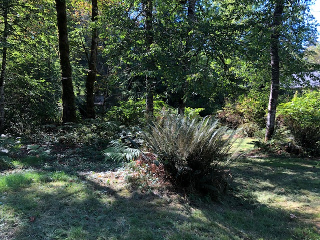 J&J's Lakeside Camp