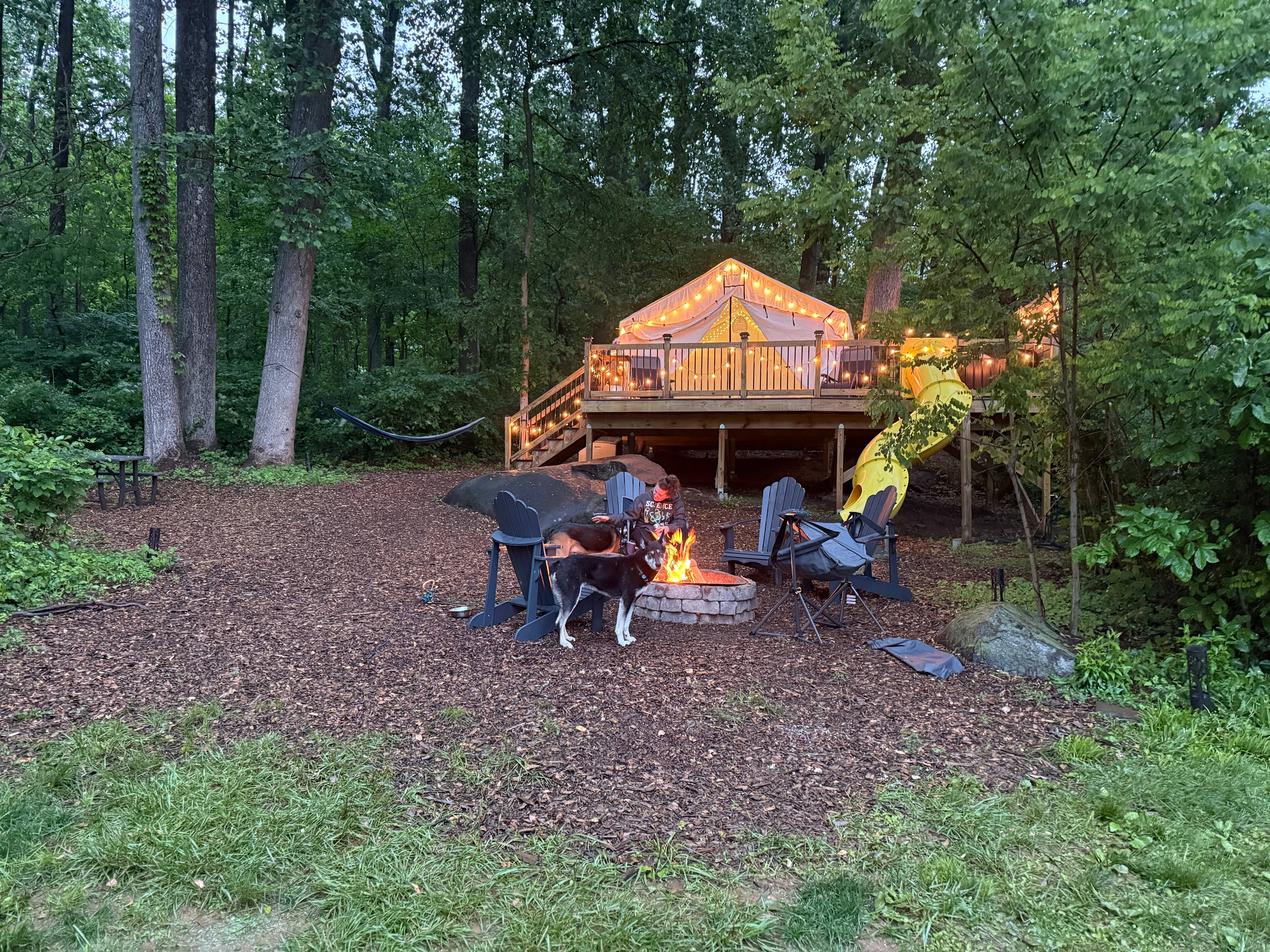 Magical Treehouse with Hot Tub & Slide