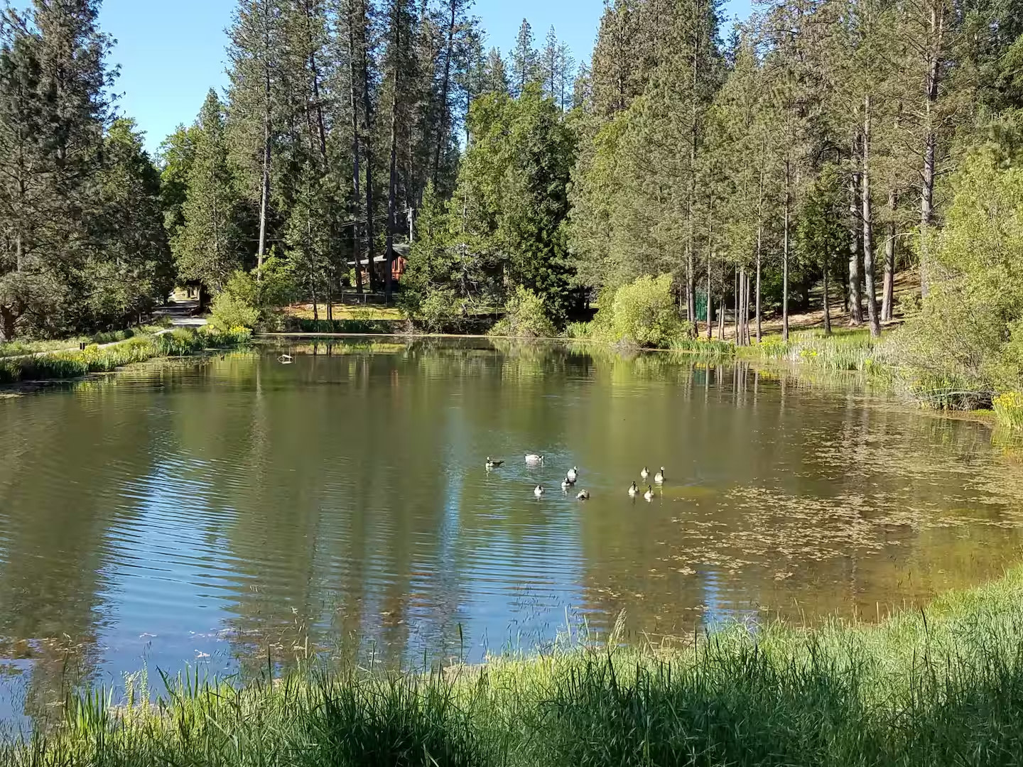 Grass Valley Retreat