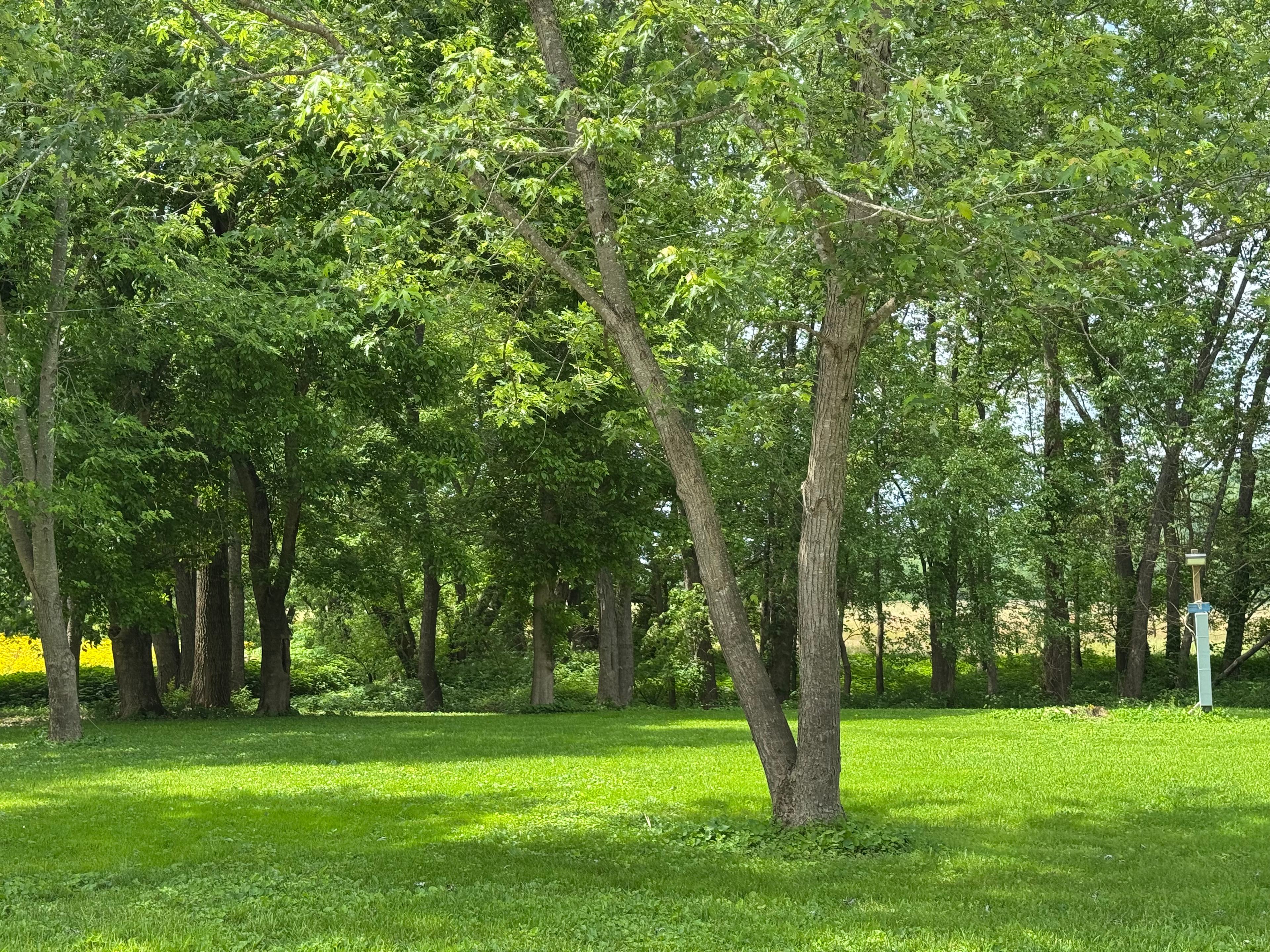 Brush Creek Campground, LLC