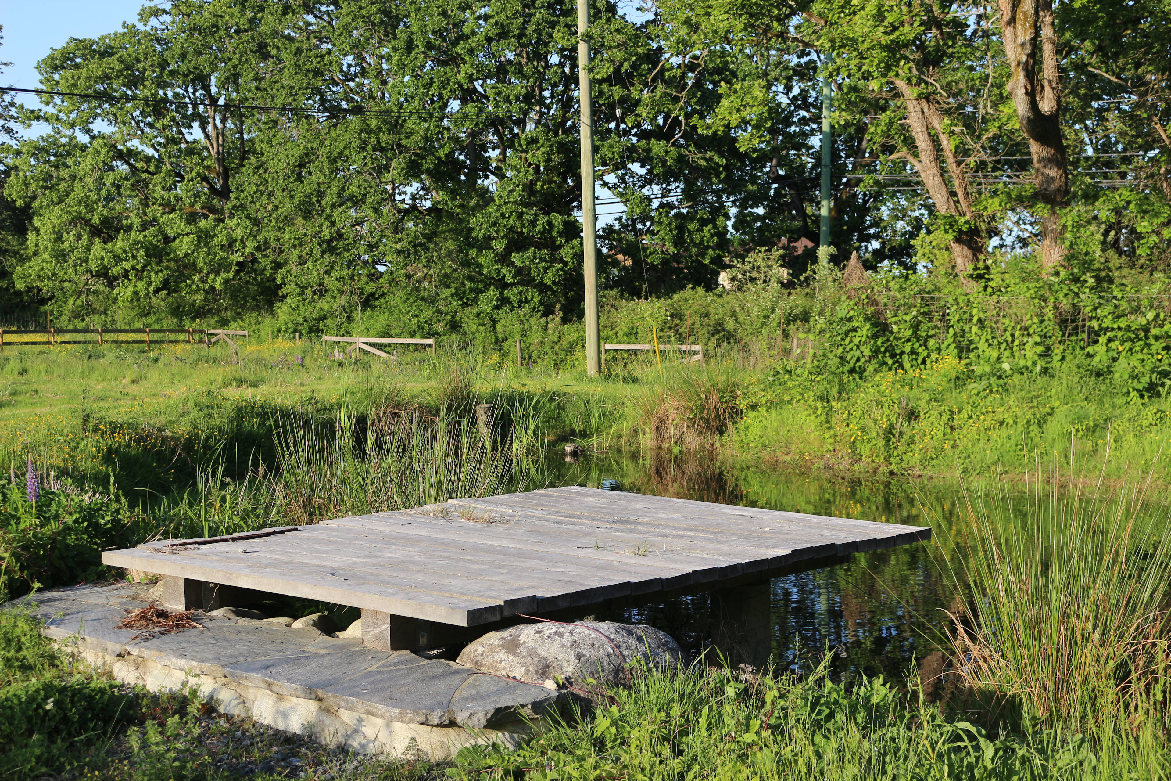 West Coast Retreat at Anneth Farm