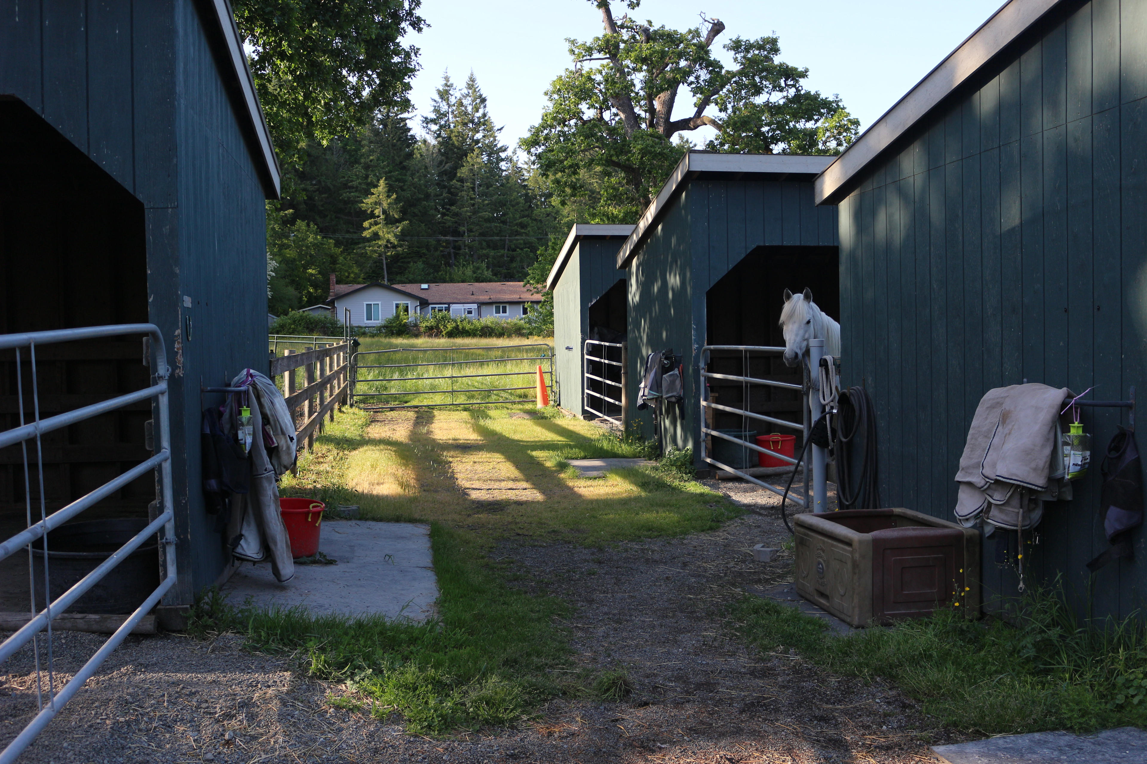 West Coast Retreat at Anneth Farm