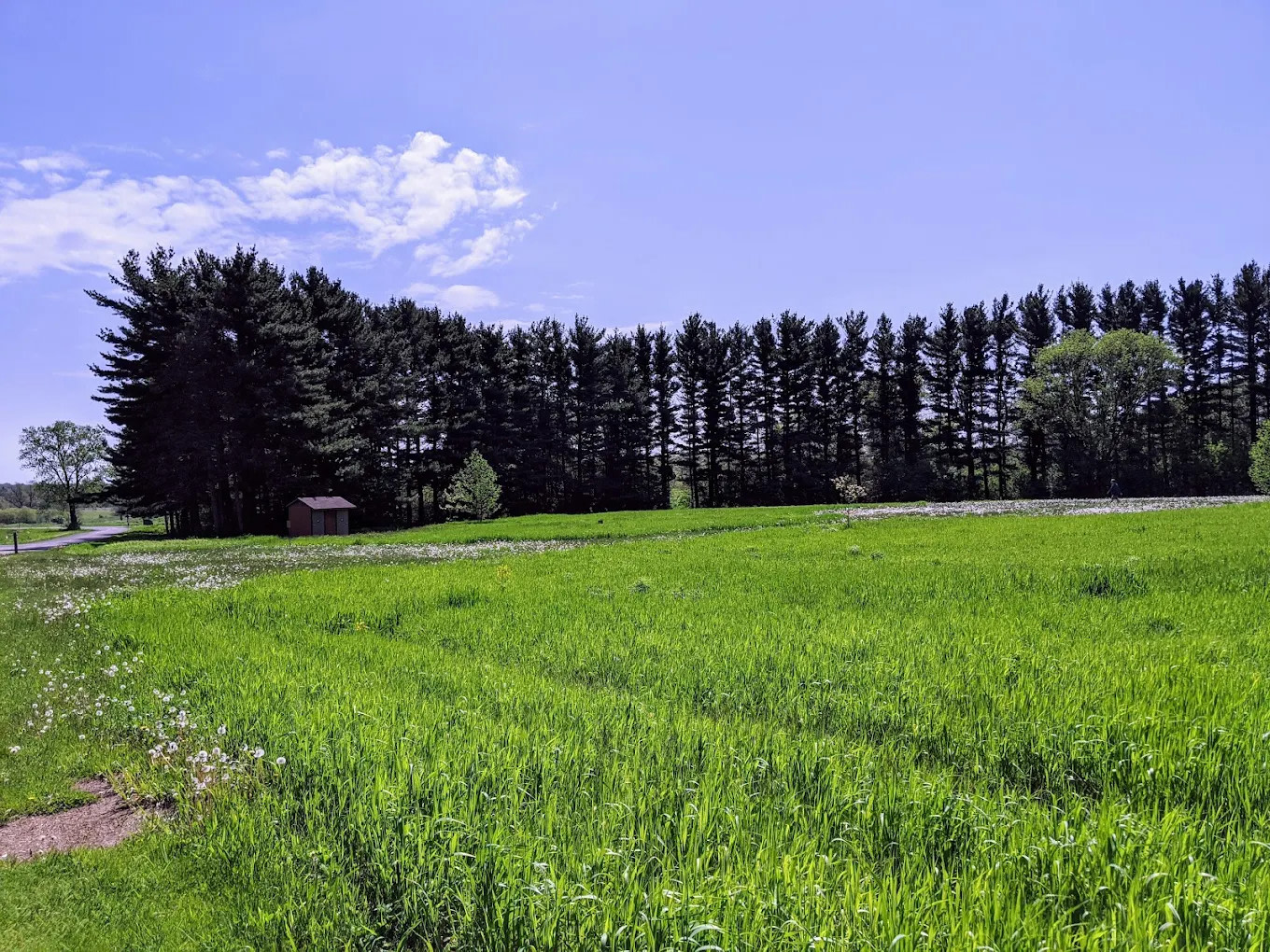 Camp Tomo Chi Chi Knolls