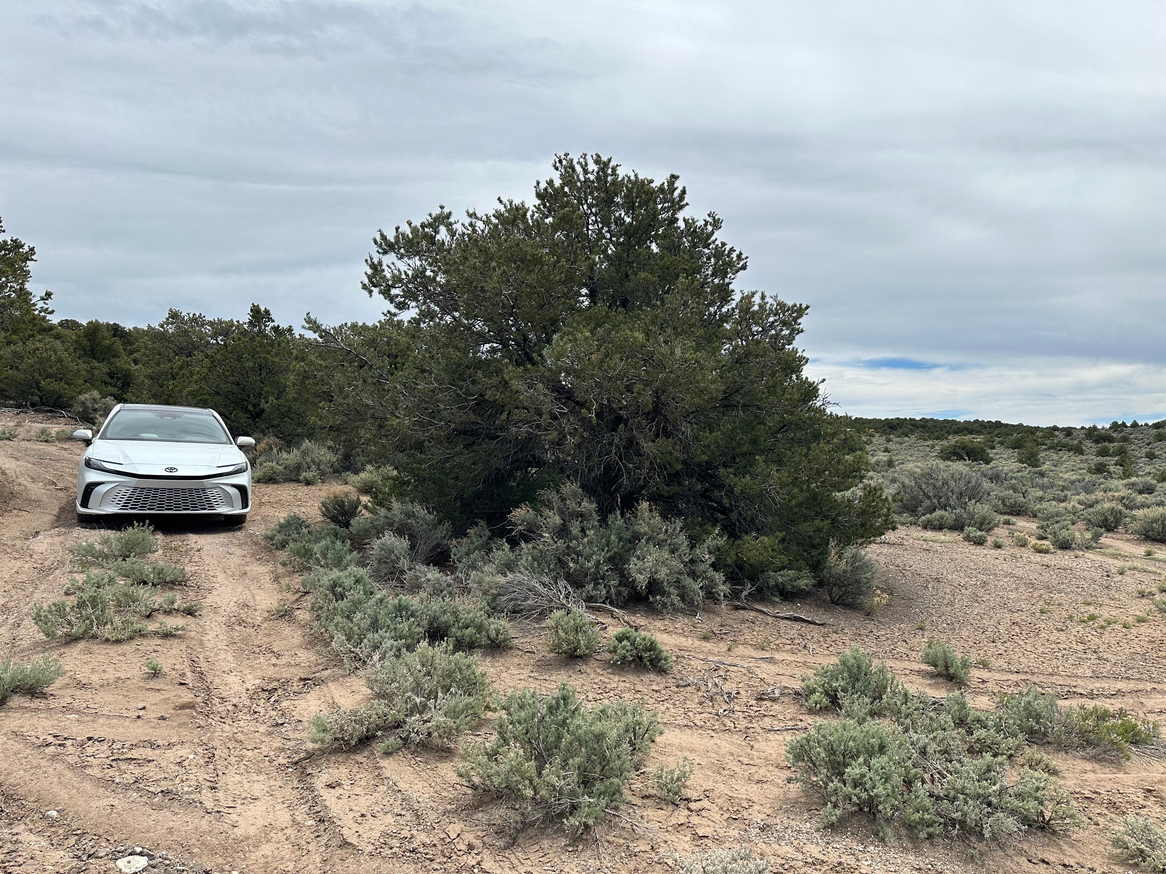 Iron Eagle Camgrounds