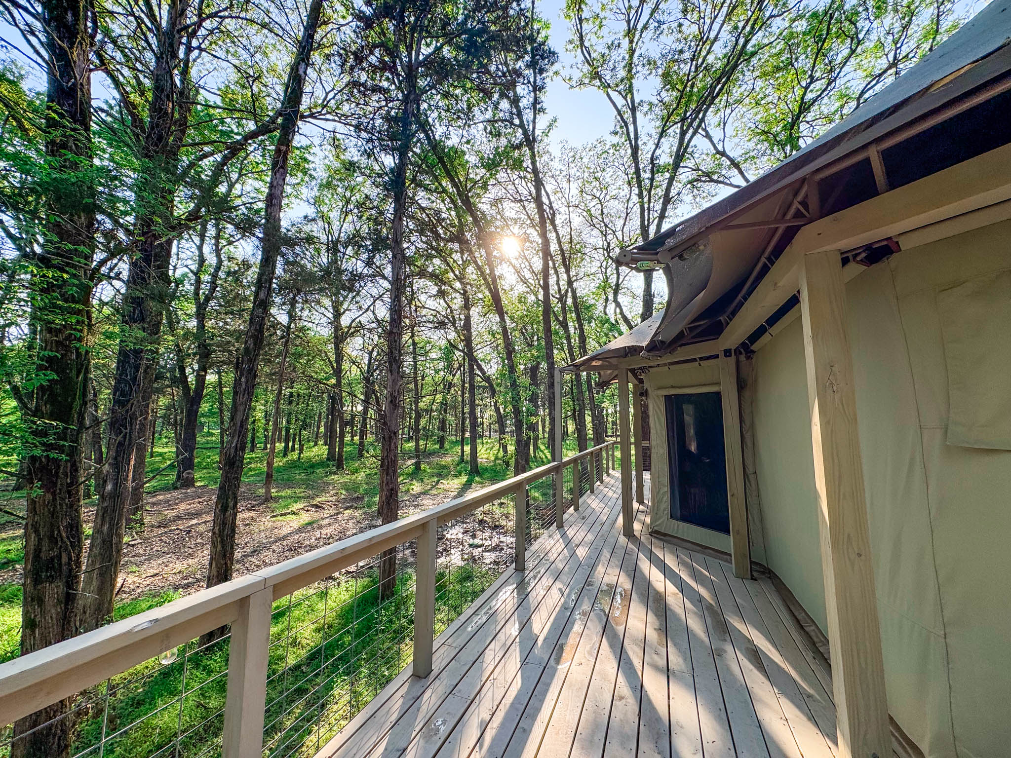 Luxury Glamping in Texas Woods