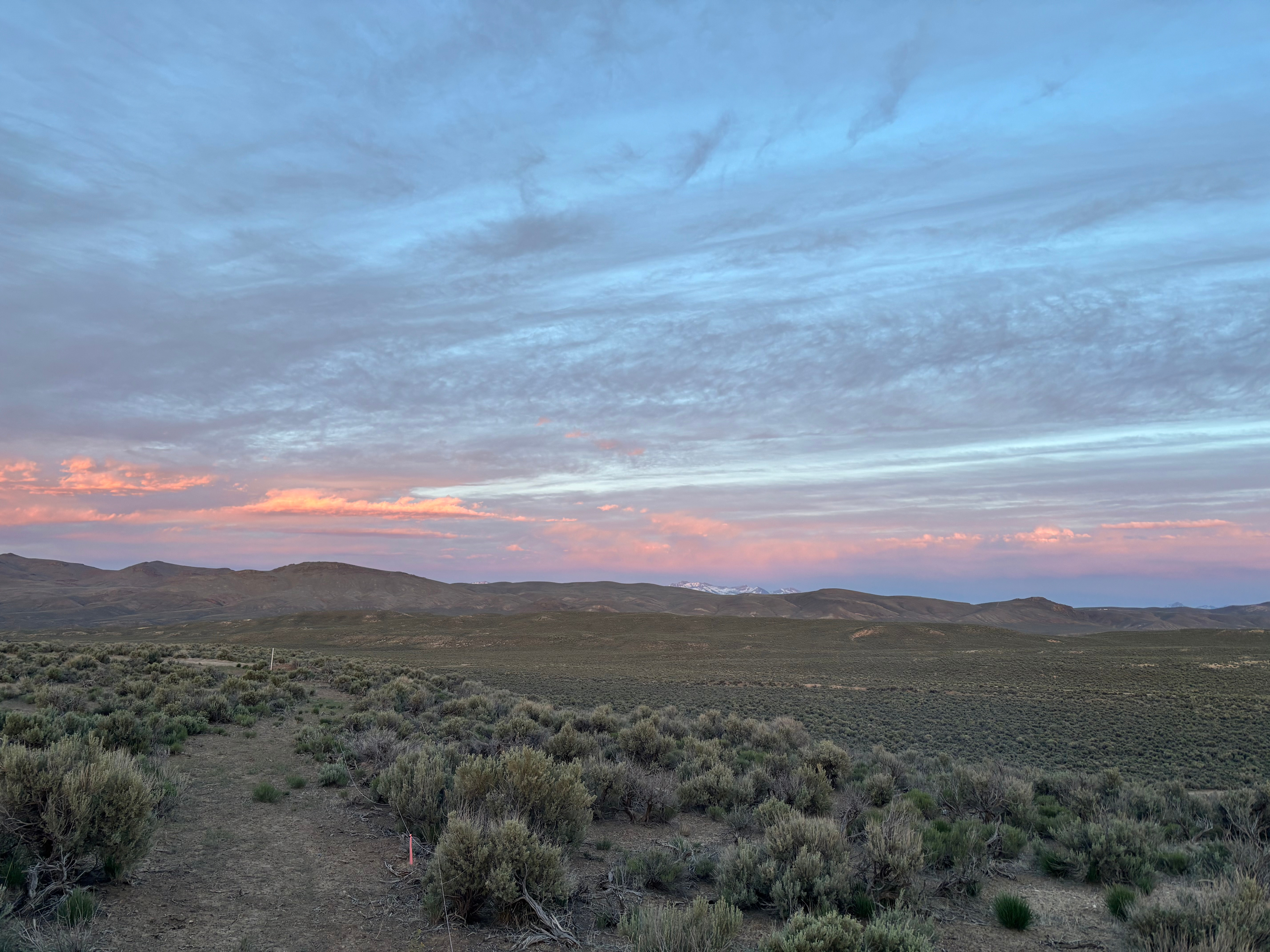 Ethereal Ranch