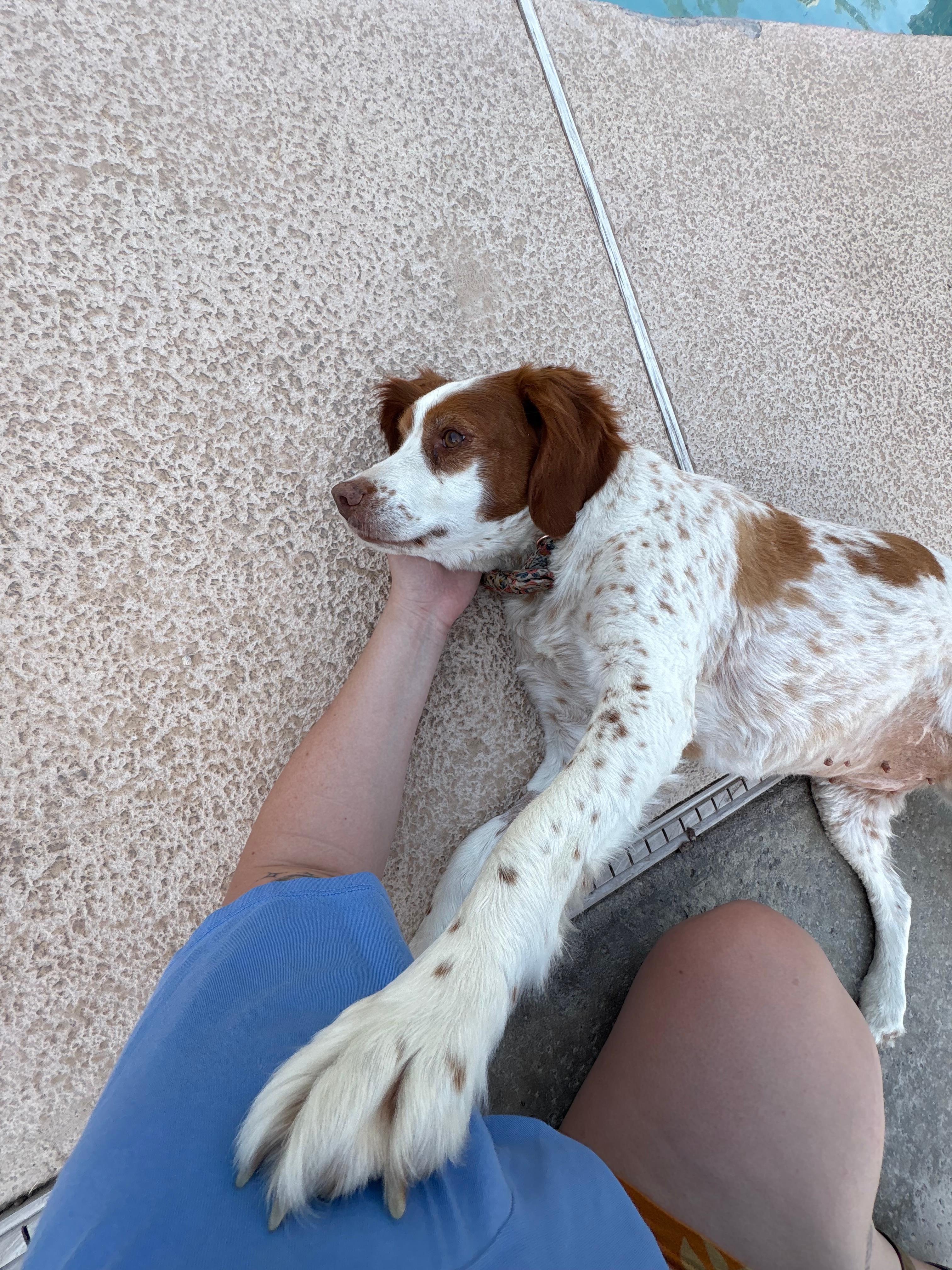 Garden Oasis in the Heart of Vegas