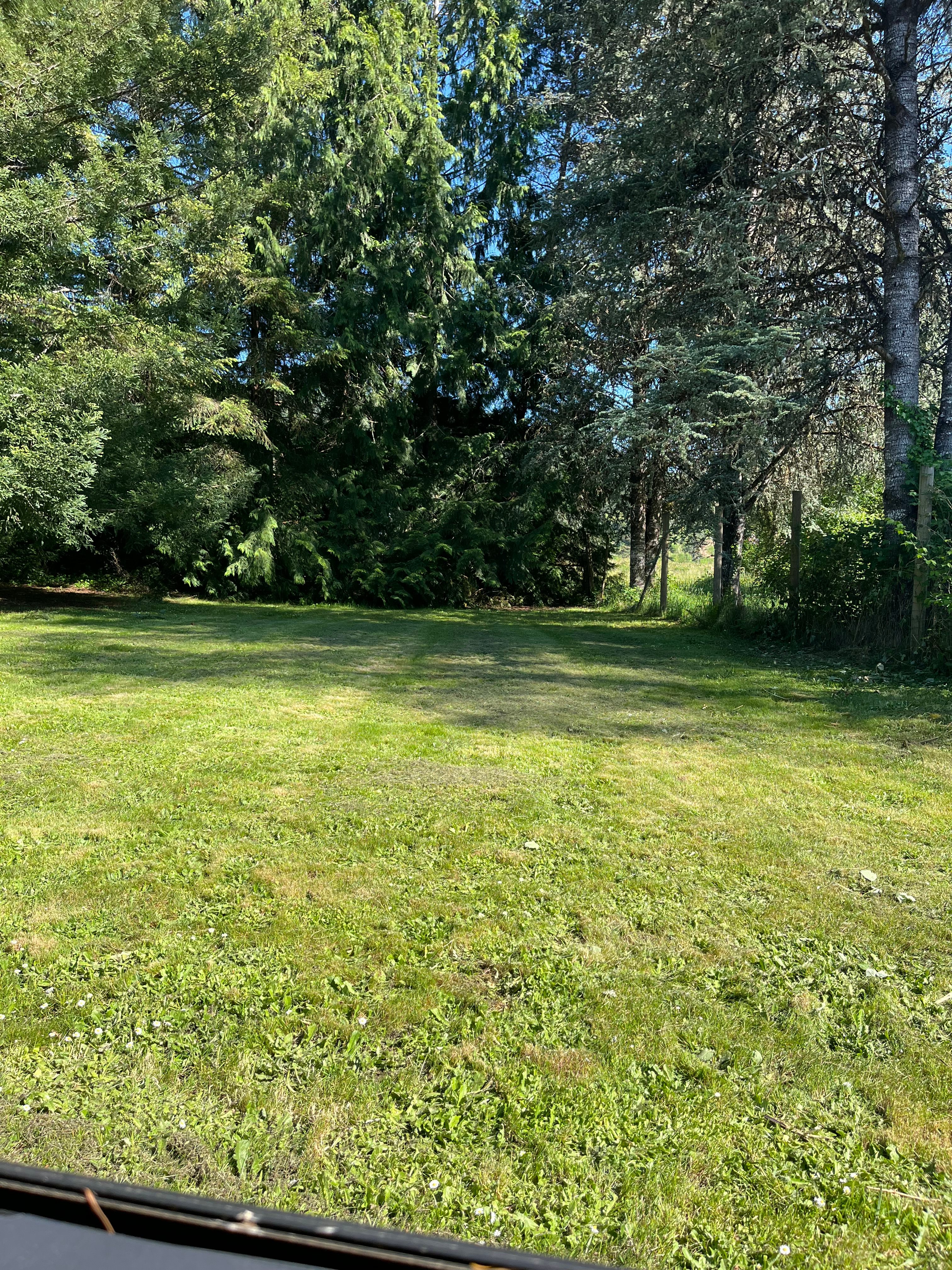 Bear Alley Campground