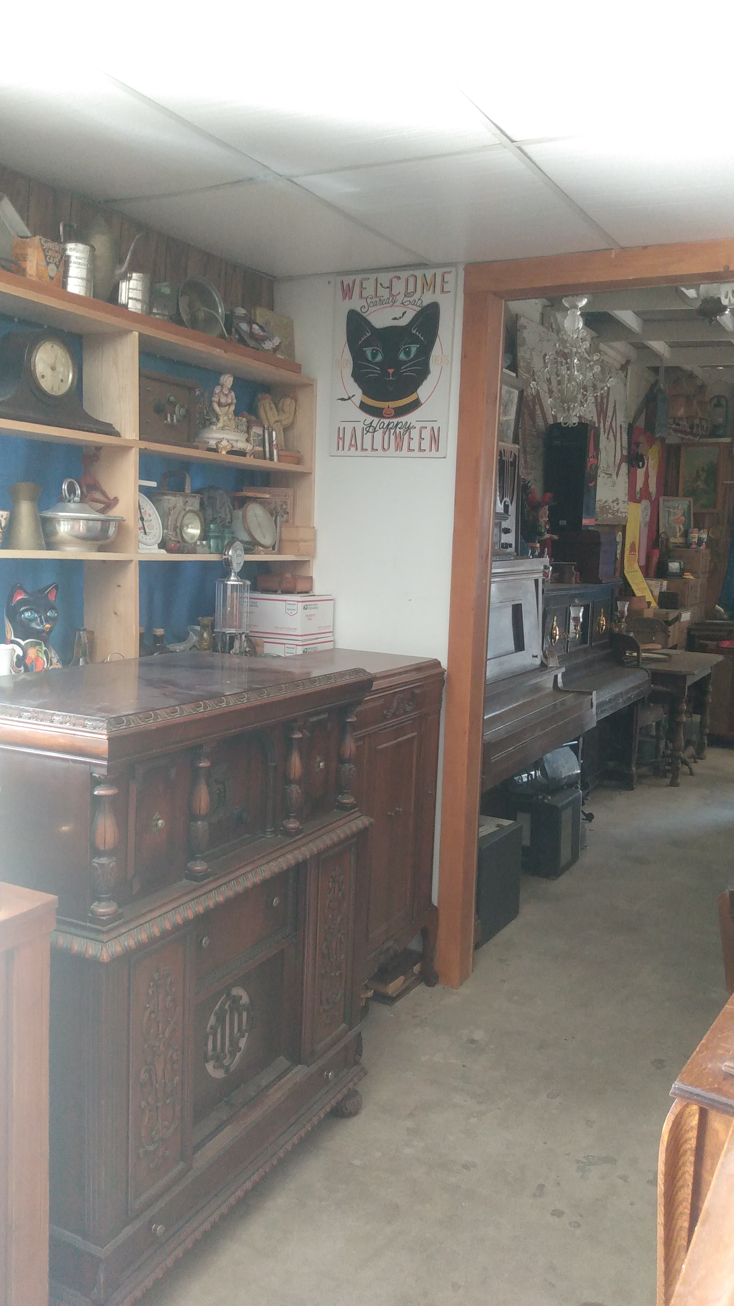 Golden Cactus Ghost Town