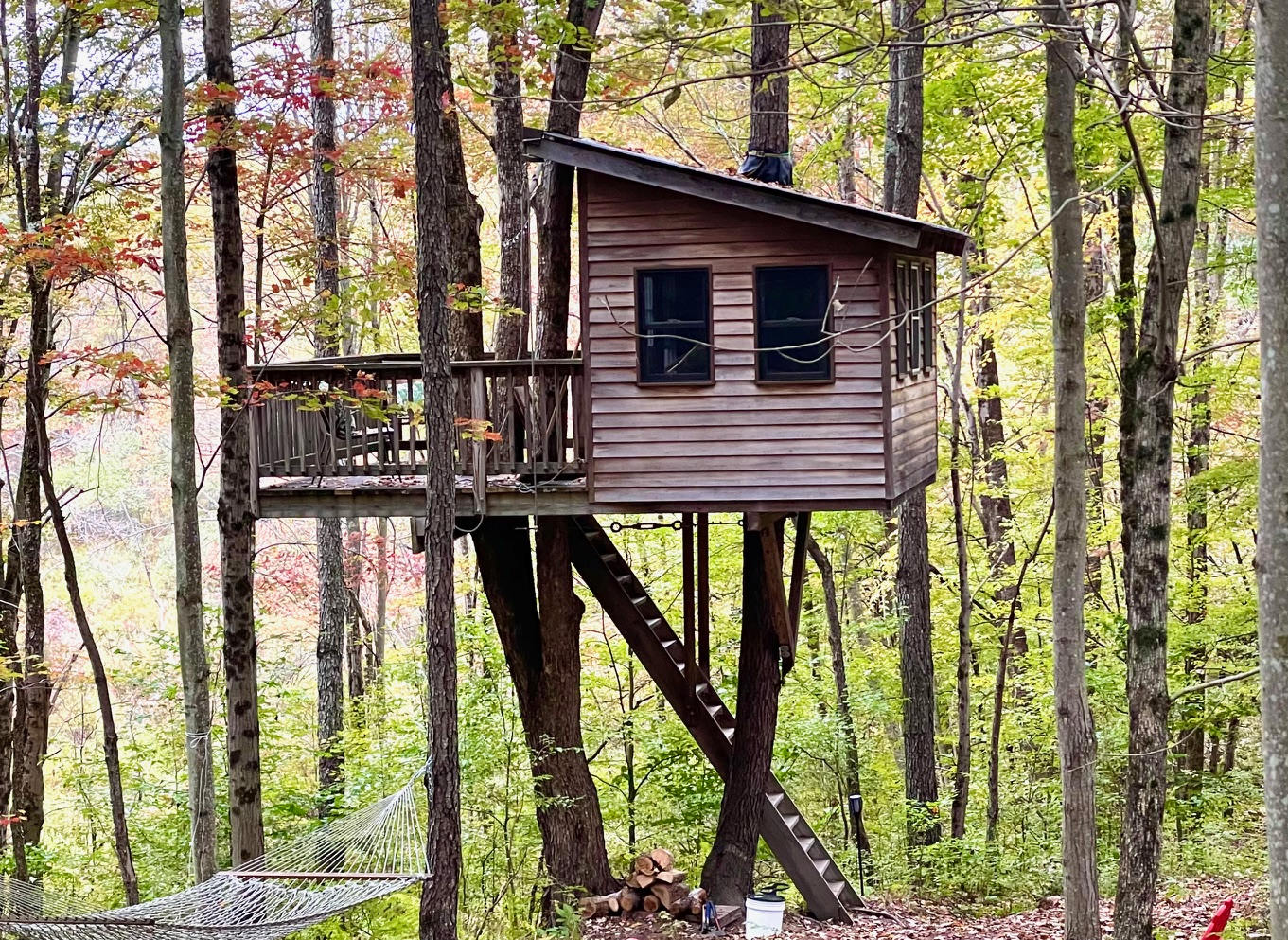 Treehouse Farm Adventure