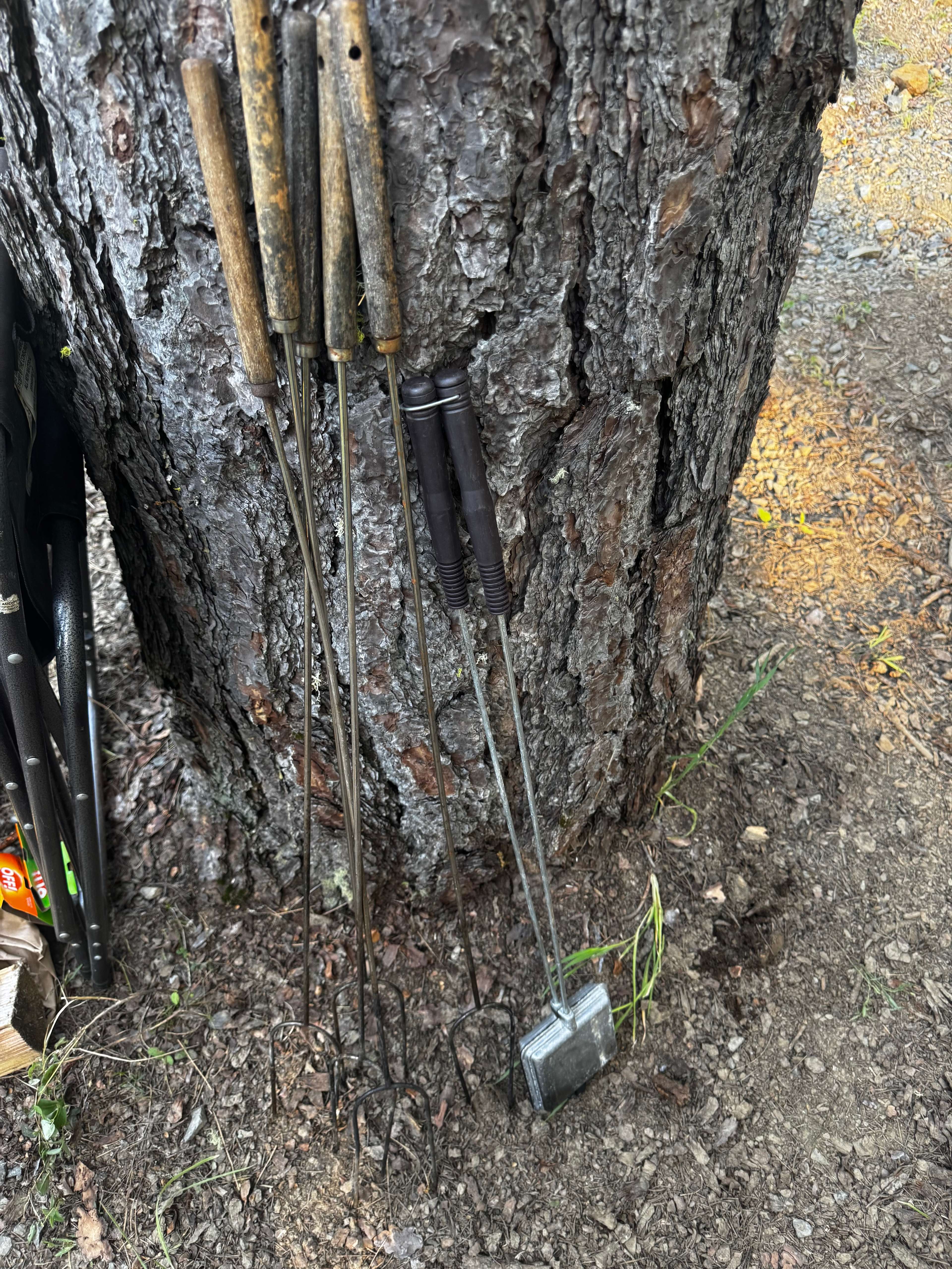 Homestead campsite in the trees