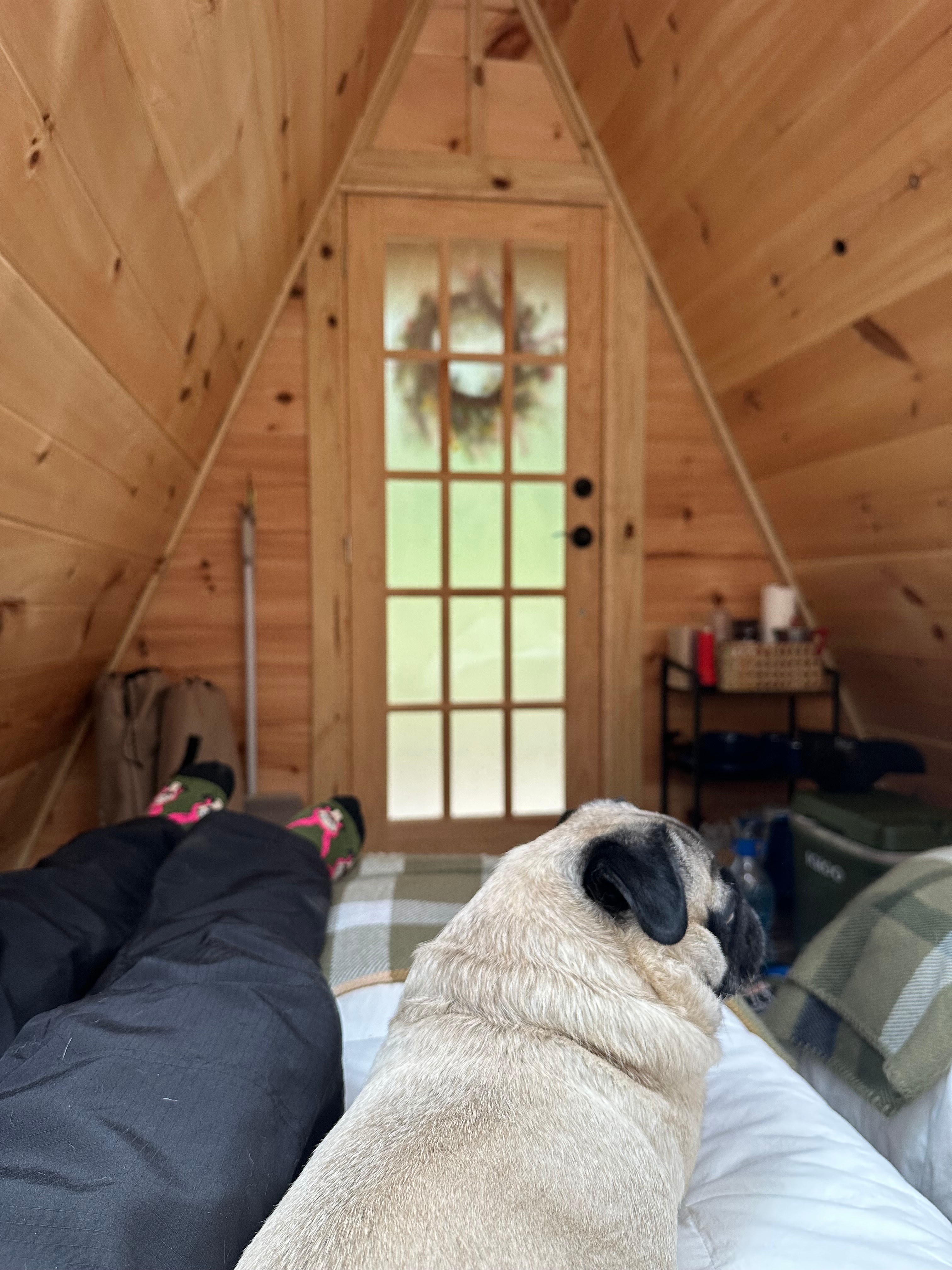 Settling in for the day