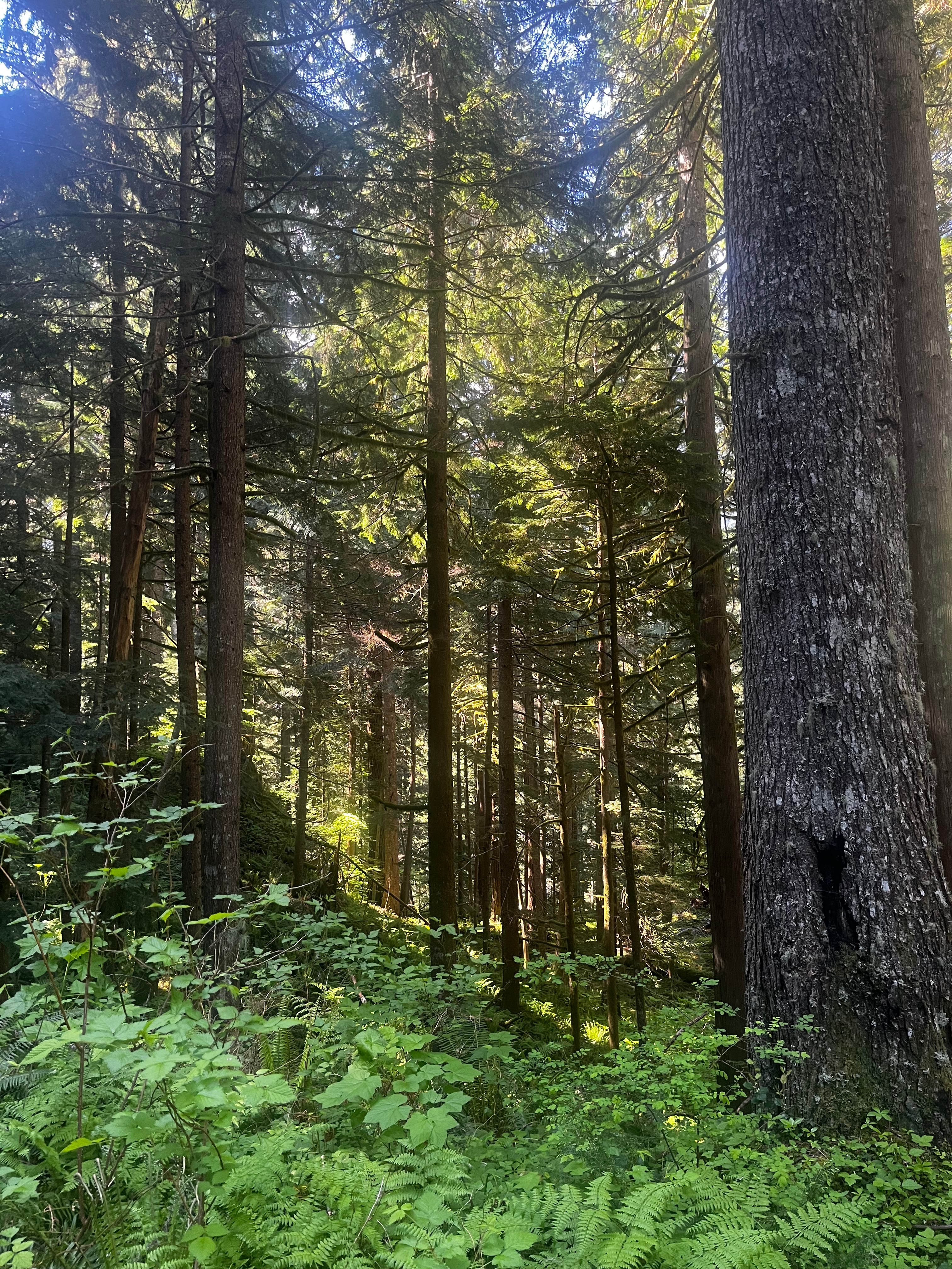 Ridgeline Retreat