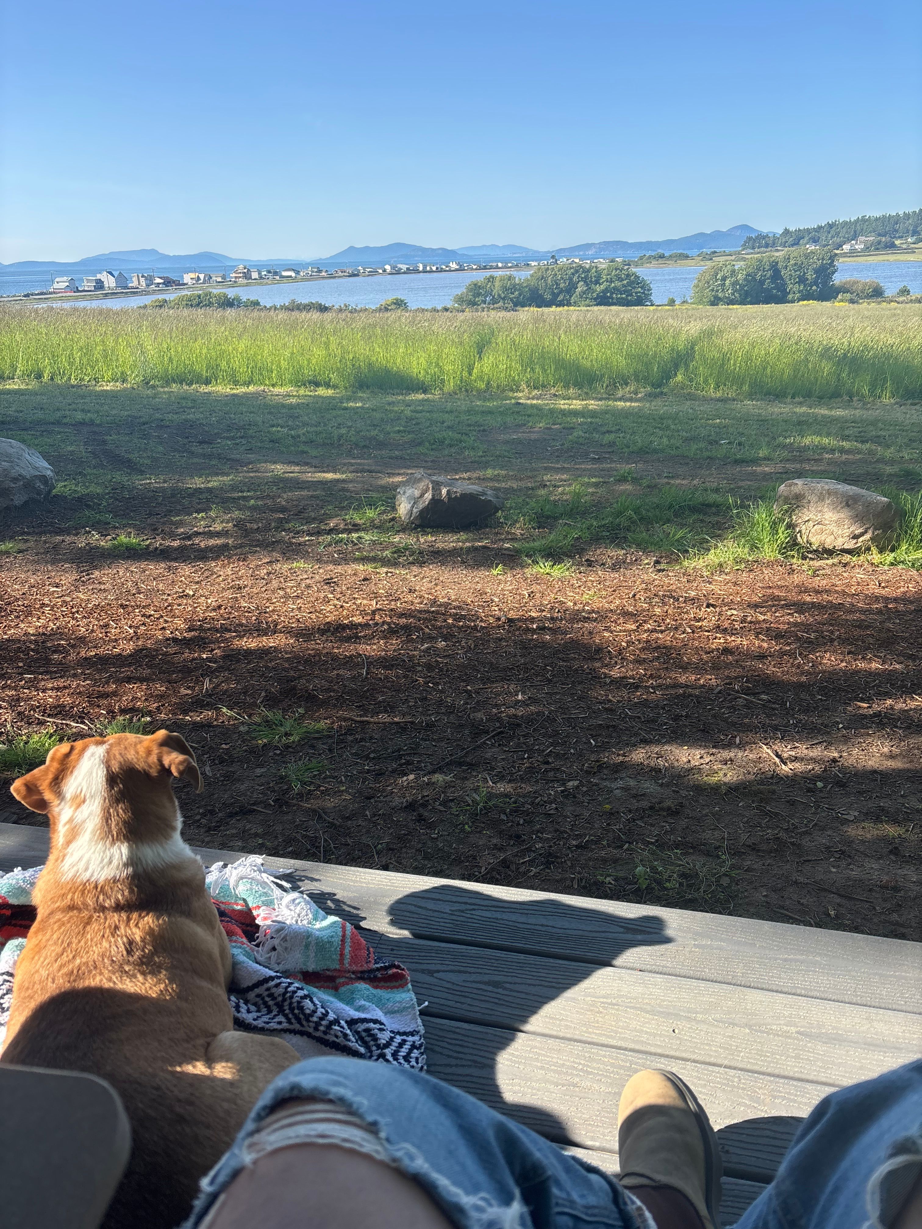 Whidbey Highland Farm