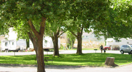 Desert Gold Motel & RV Park