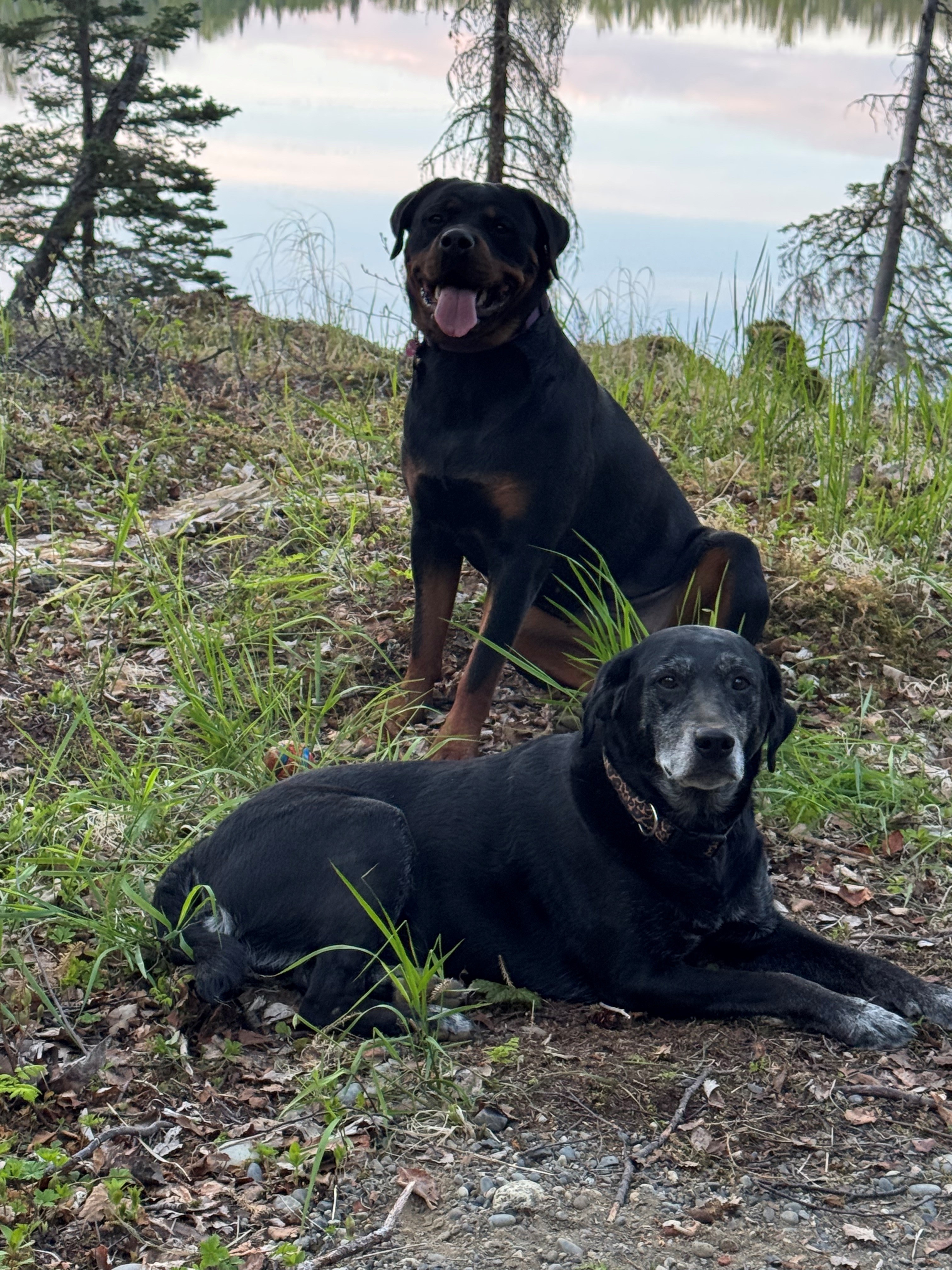 View from Camp site 1